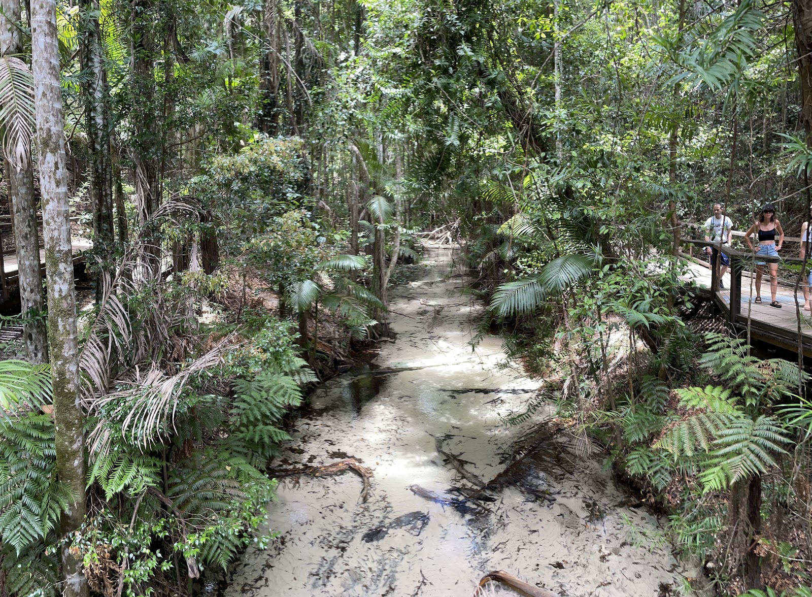 Wanggoolba Creek 3