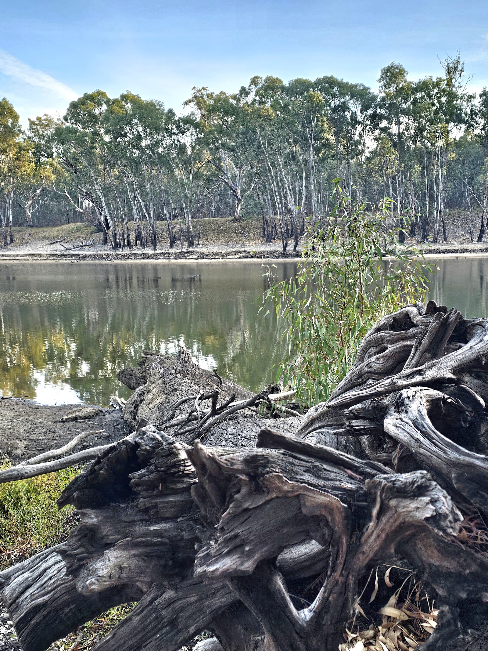 Yarrawonga River Camp 6