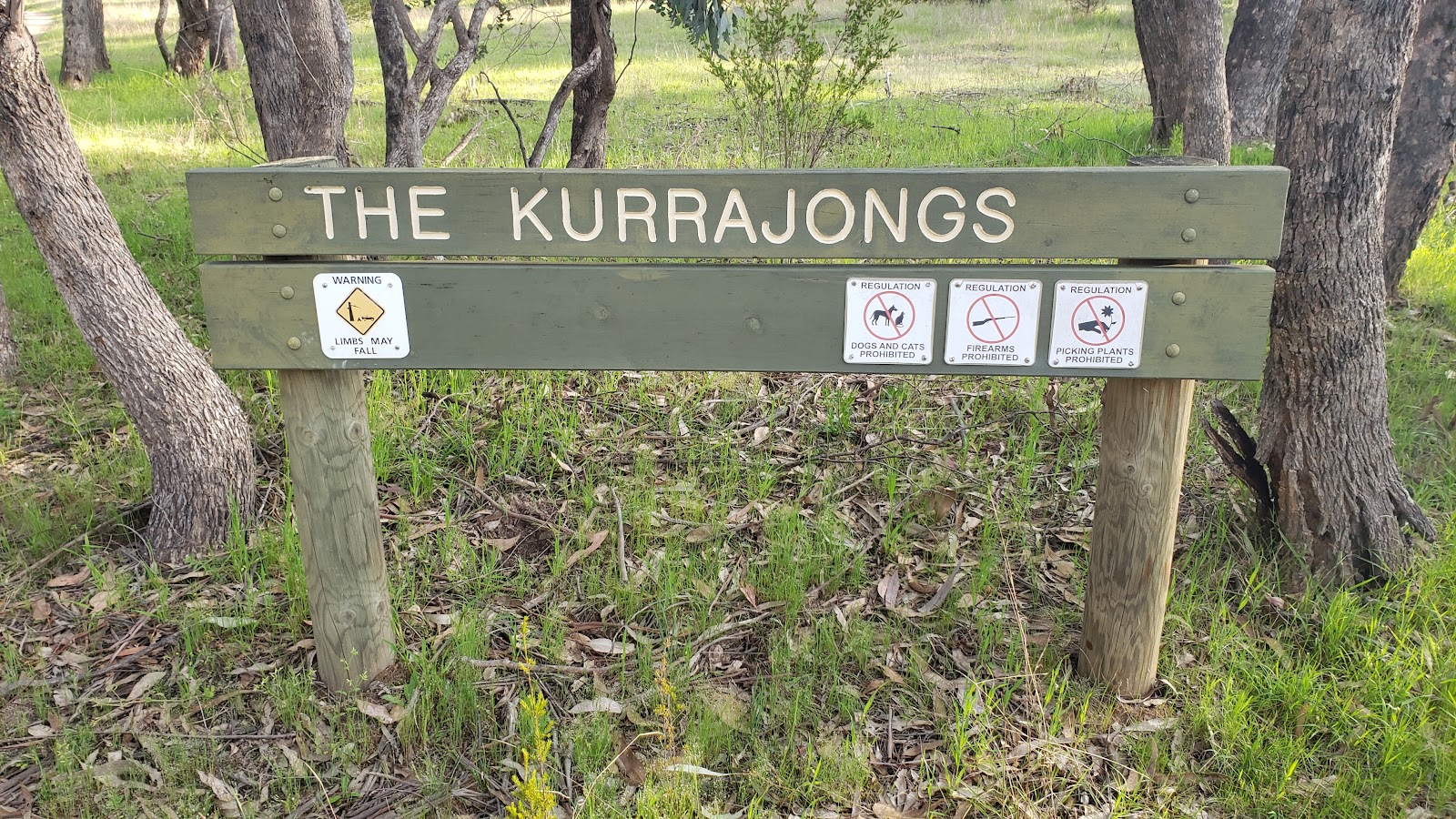 Mount Lawson State Park - The Kurrajongs 6