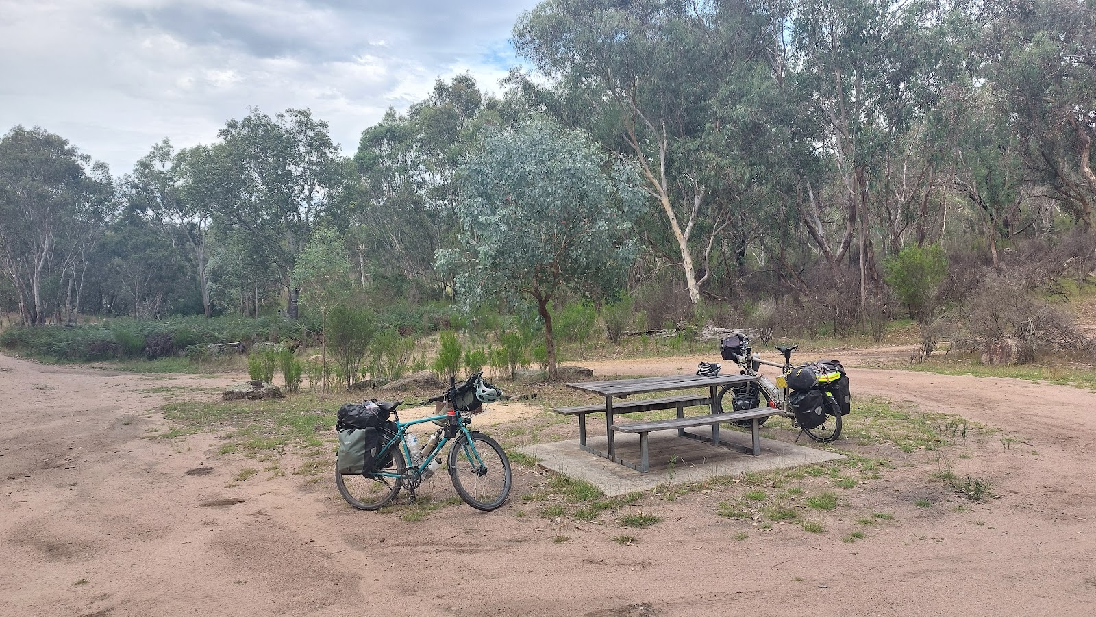 Mount Lawson State Park - The Kurrajongs 9