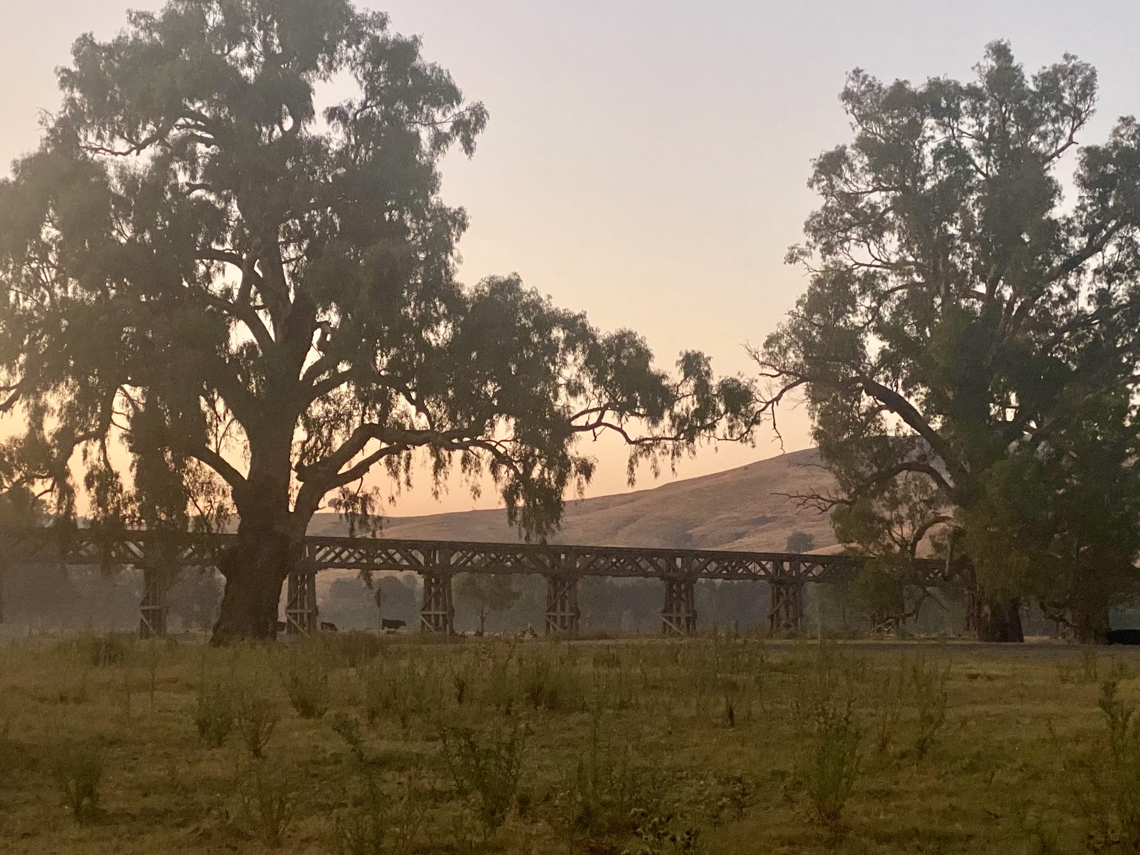 Morley's Creek "RV Rest Stop Reserve" Campground 5
