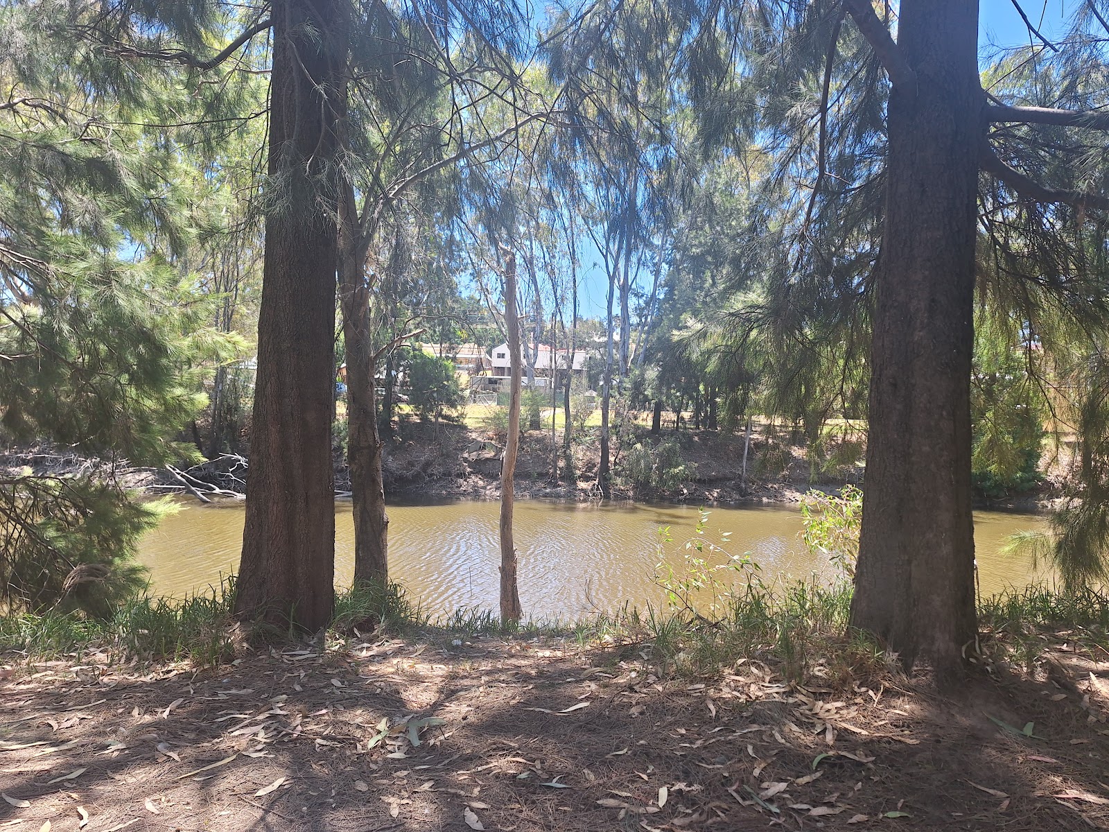 Morley's Creek "RV Rest Stop Reserve" Campground 4
