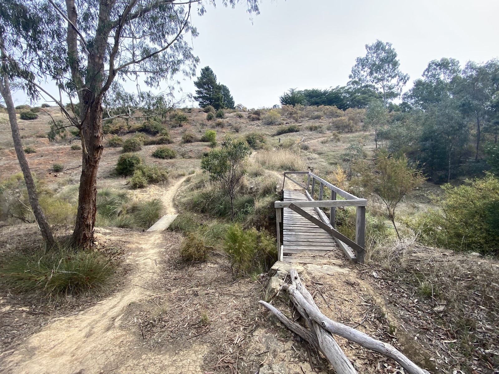 Vaughan Springs Reserve - Castlemaine Diggings National Heritage Park 2