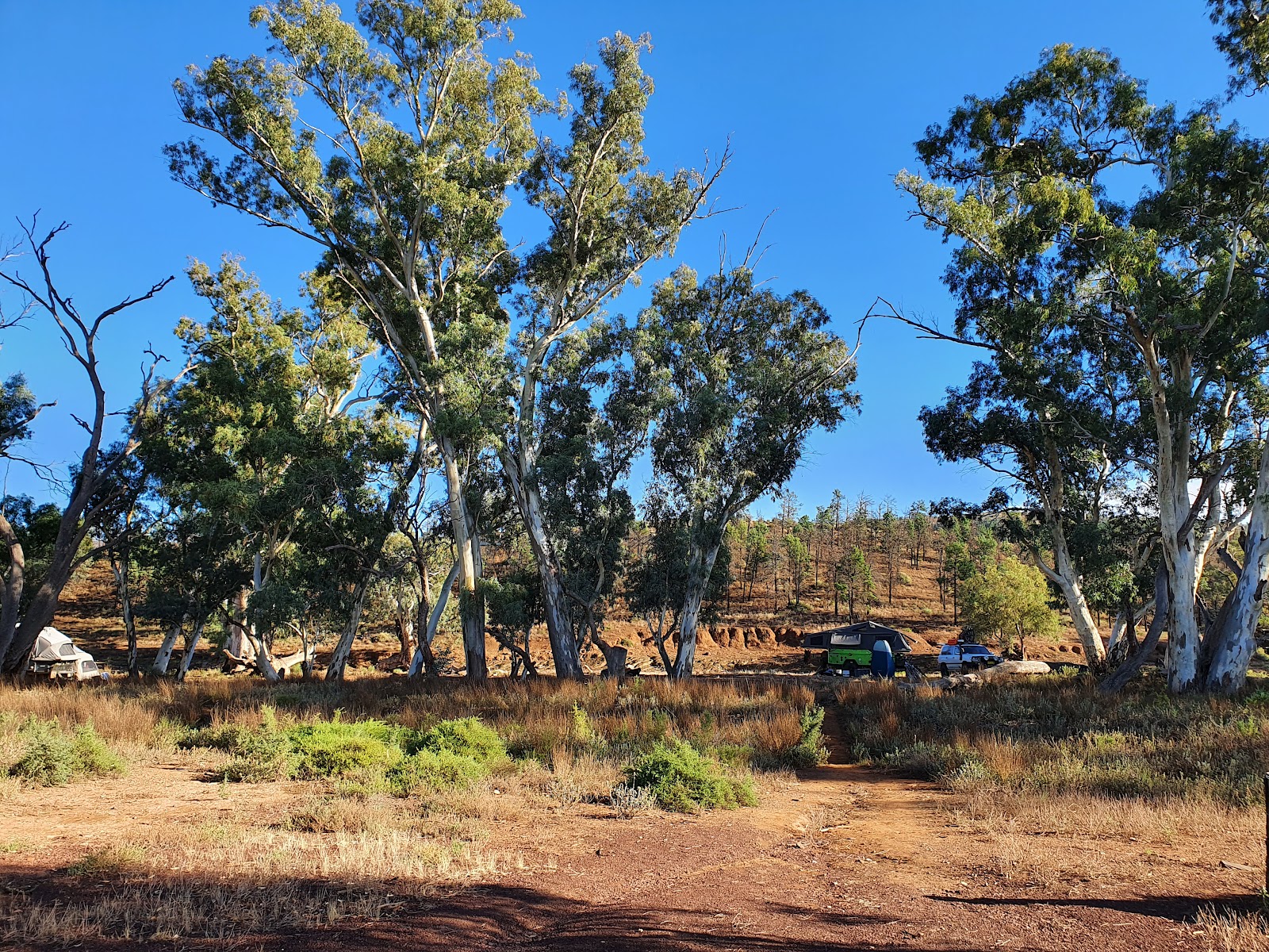 Trezona Campground 3