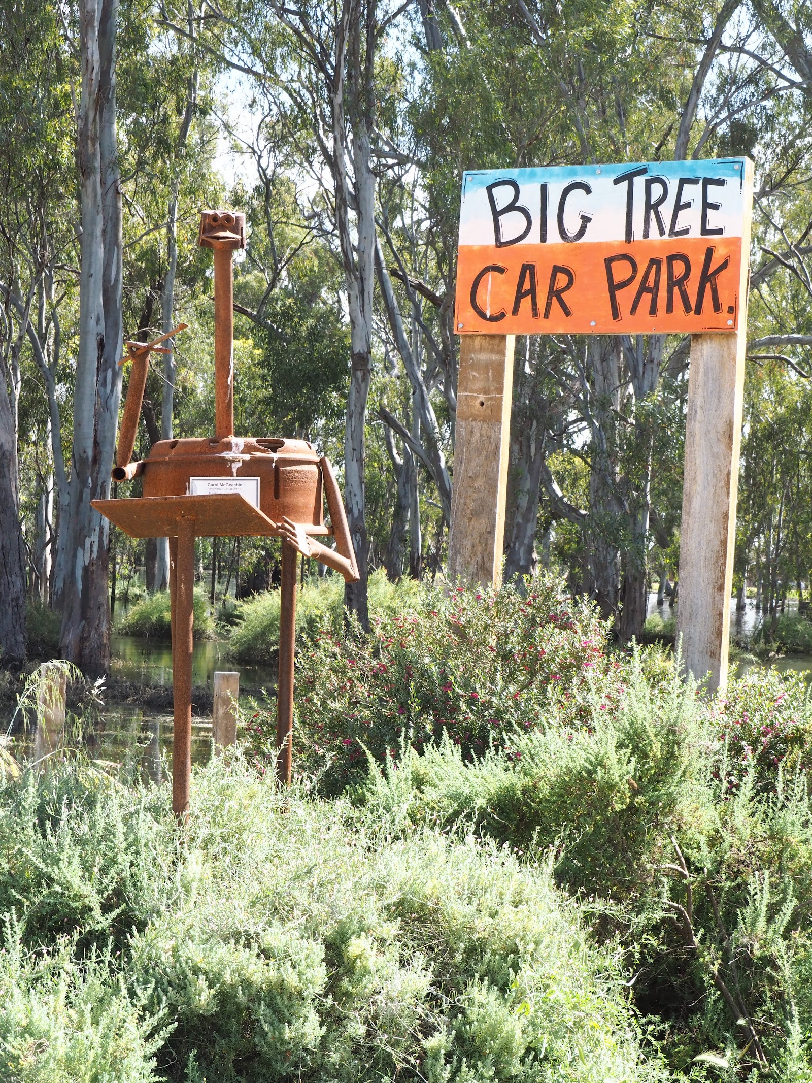 Big Tree Car Park 3