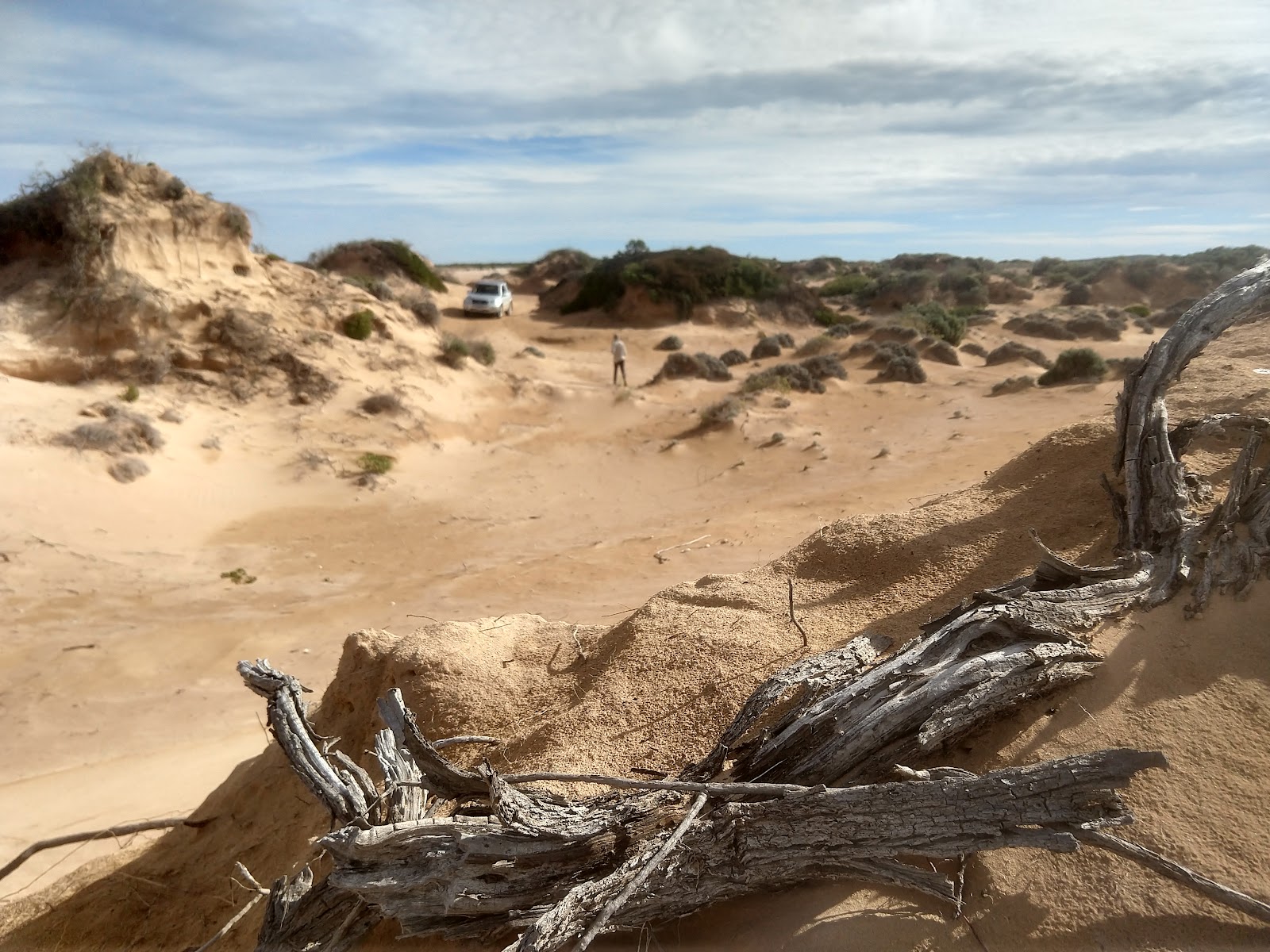 Point Brown 3