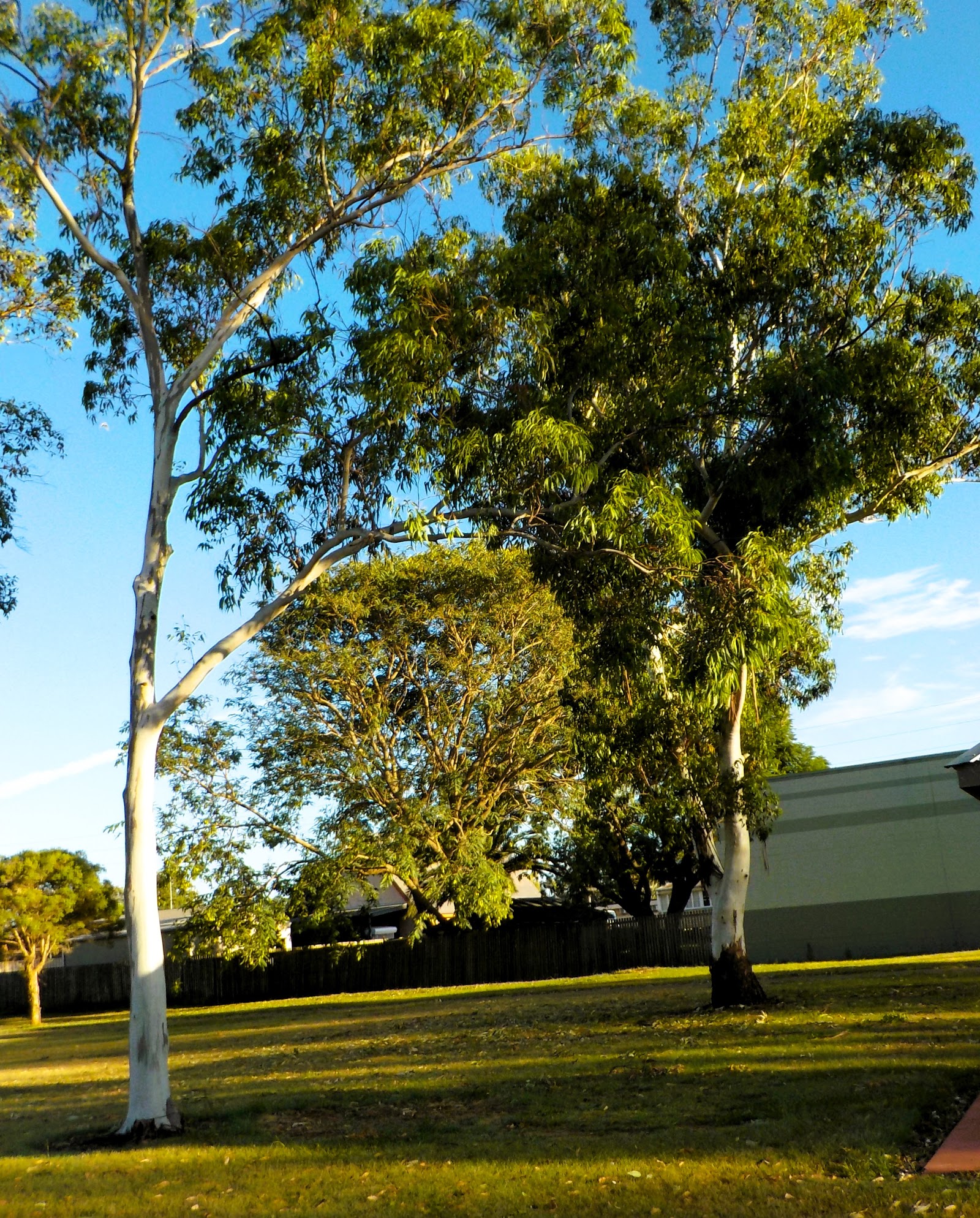 Kingaroy Lions Park 3