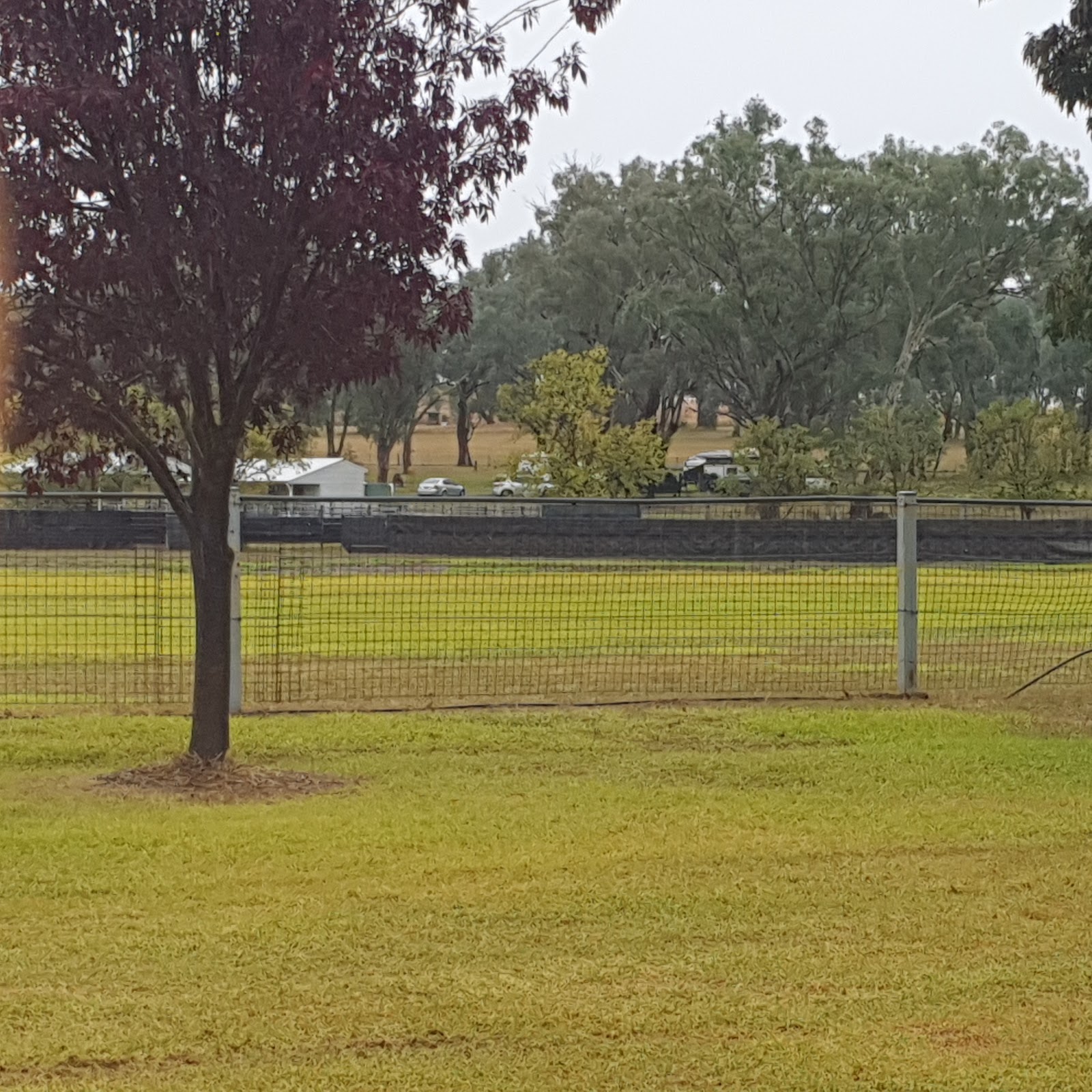 Cumnock Showground 3