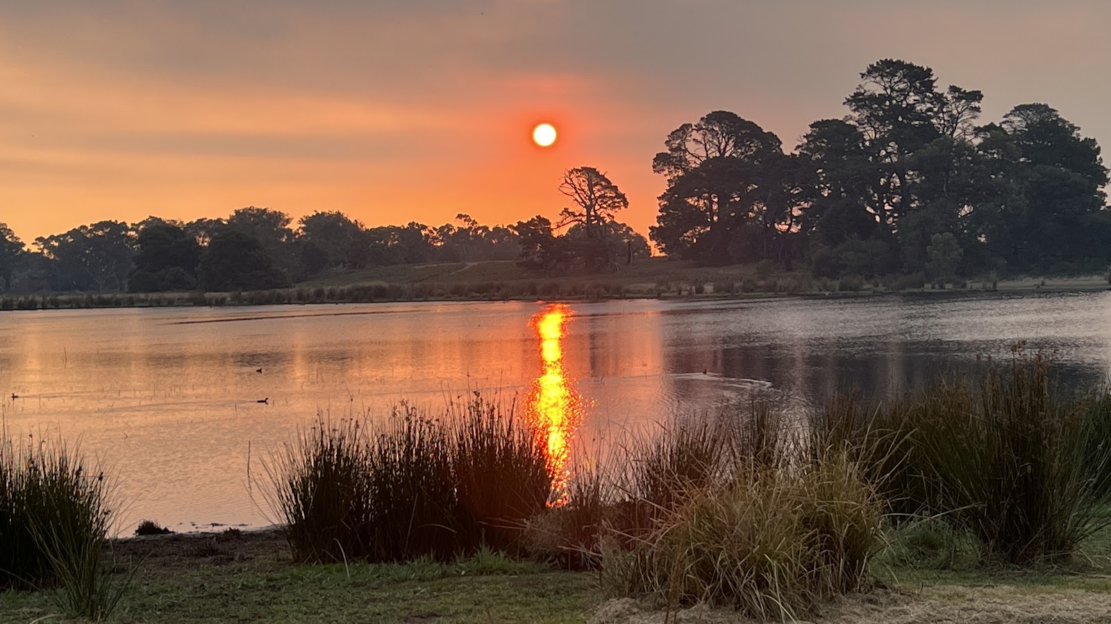 Freshwater Lake overnight camping ground 5