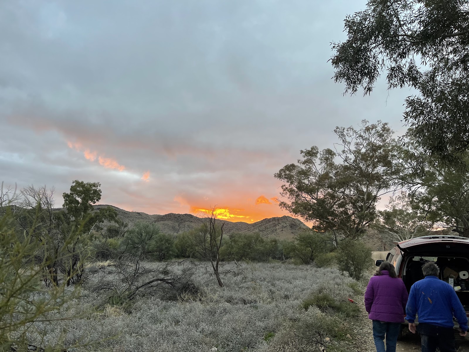 Grindells Hut Campground 3