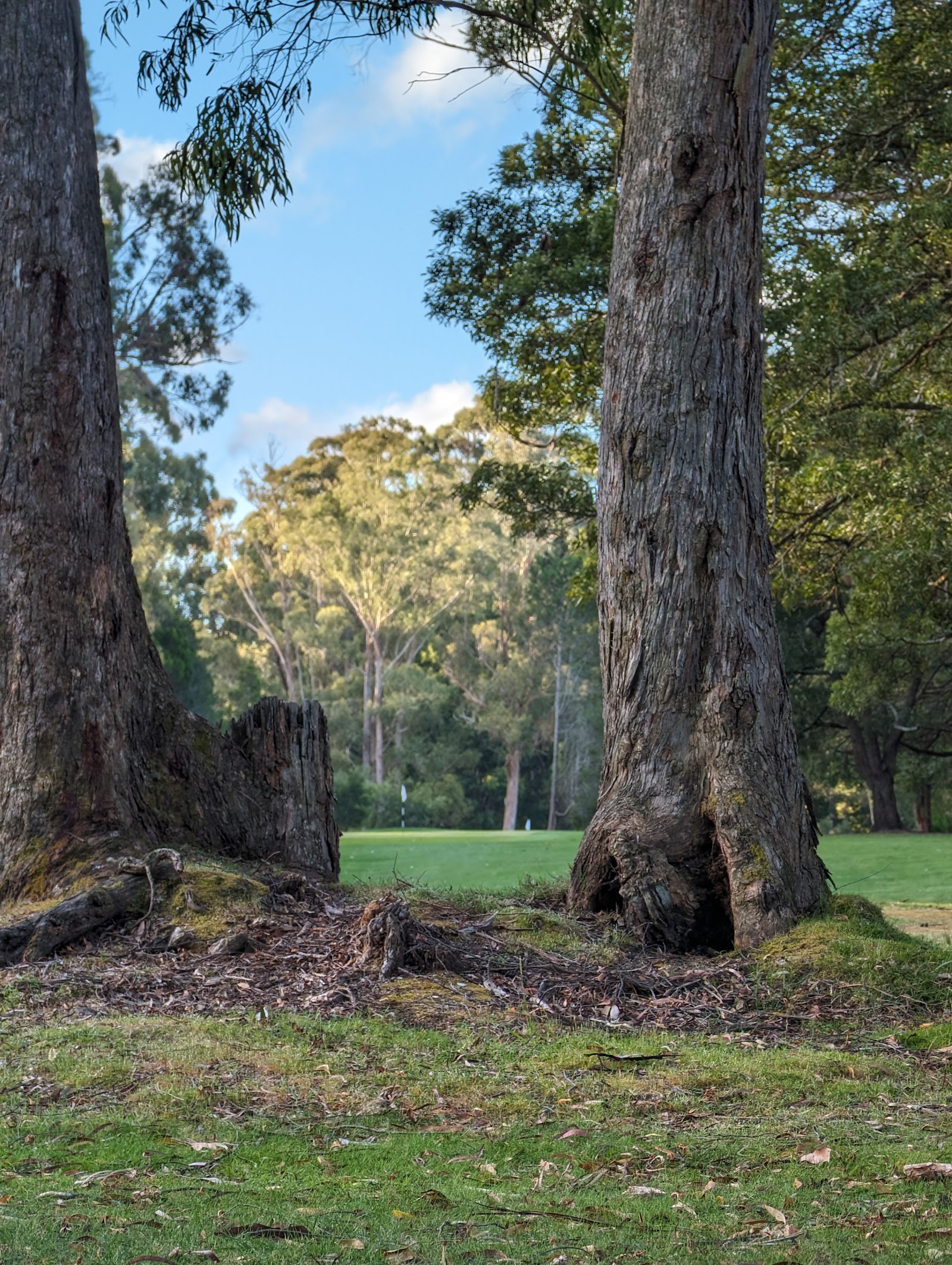 Ulverstone Golf Course 5