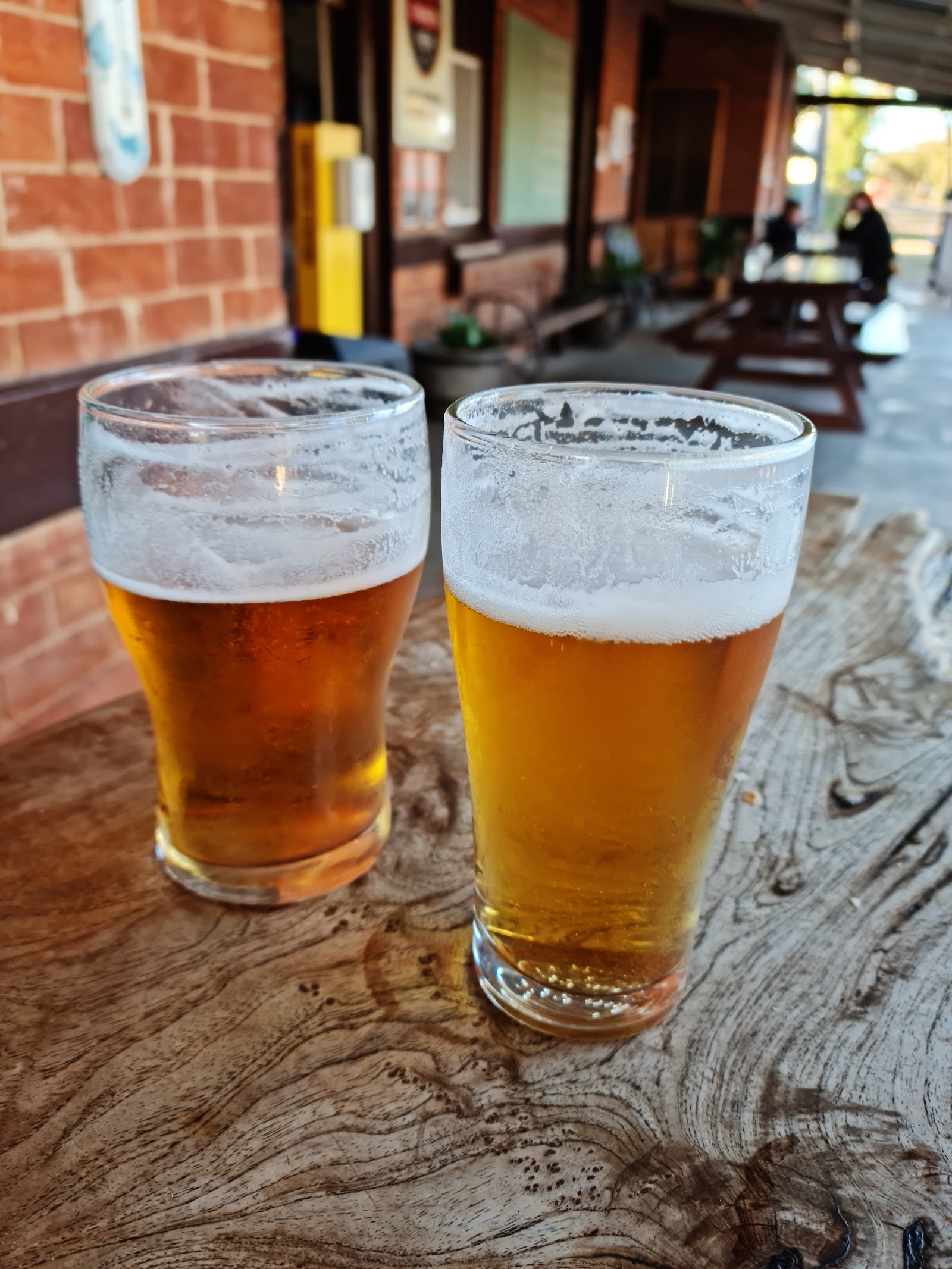 Hair of the Dog Inn Camping 3