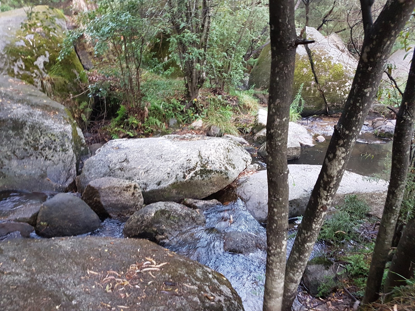 James Camping Reserve 4