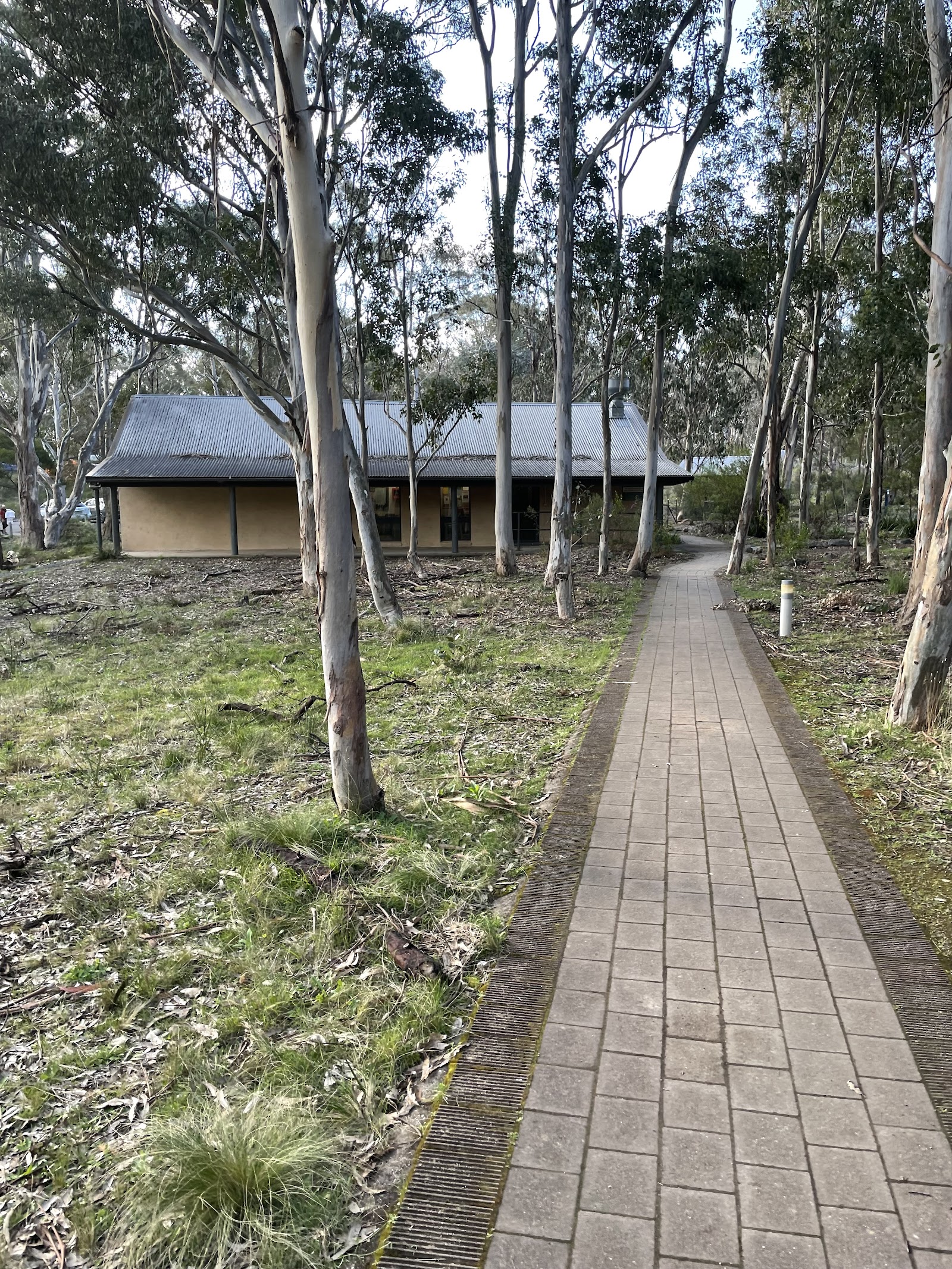Bungonia Campground 2