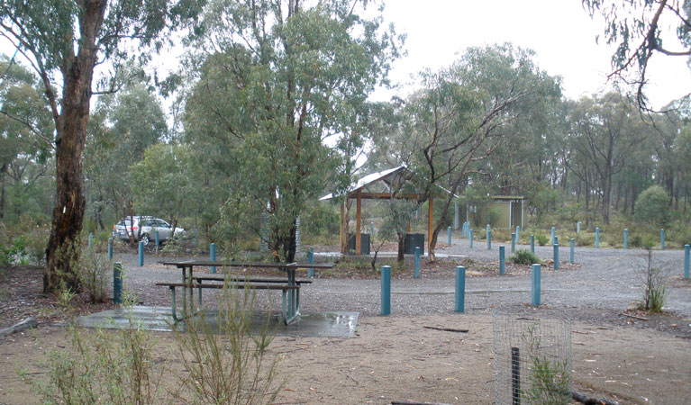 Bungonia Campground 5