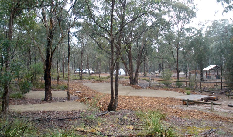 Bungonia Campground 6