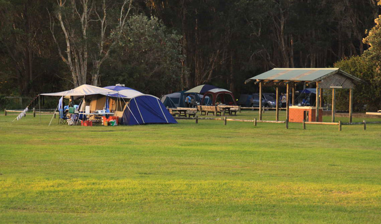 The Ruins Campground and Picnic Area 5