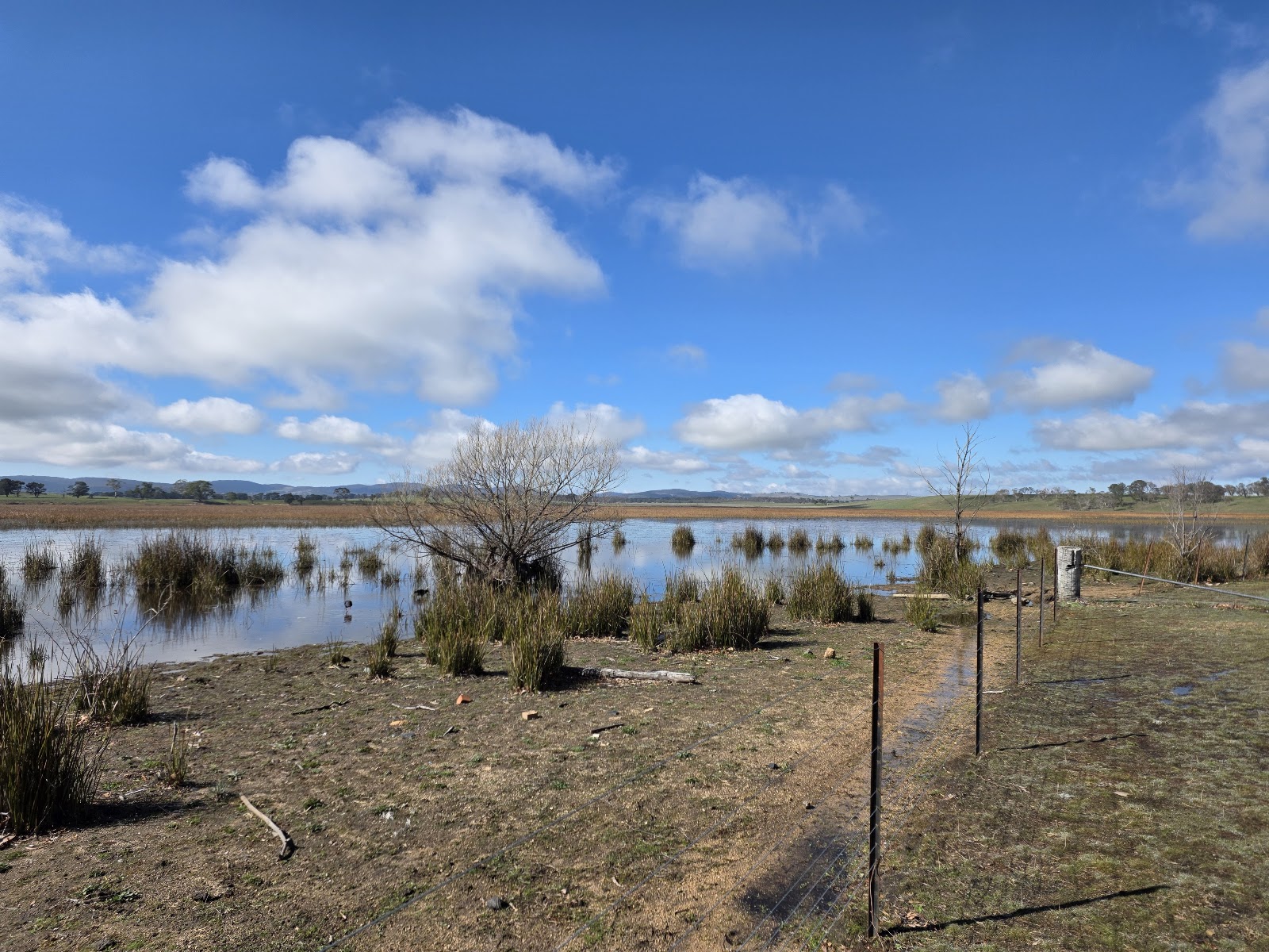 Edmonson VC Rowes Lagoon Rest Area 5