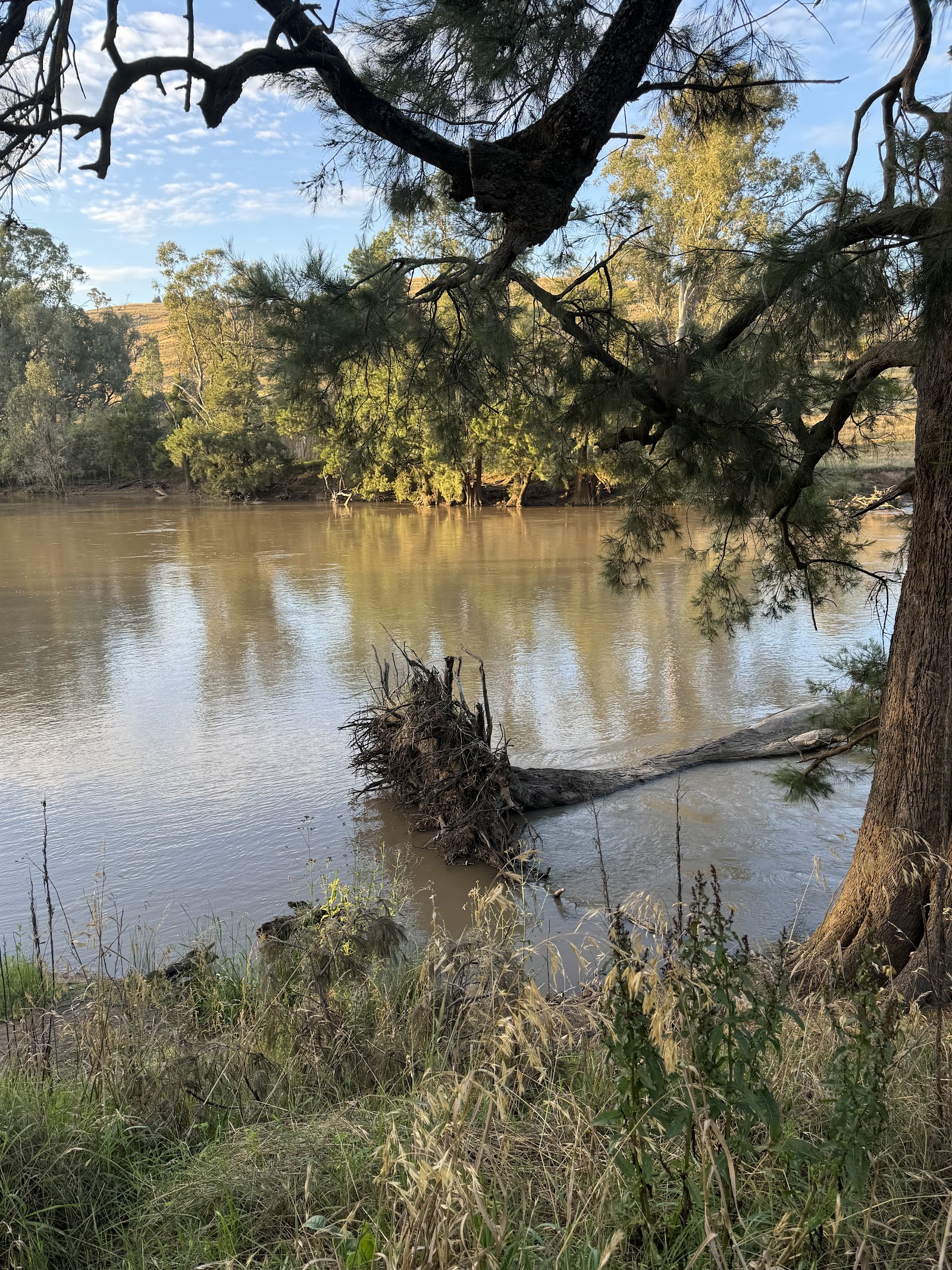 Sandy Beach Reserve 3