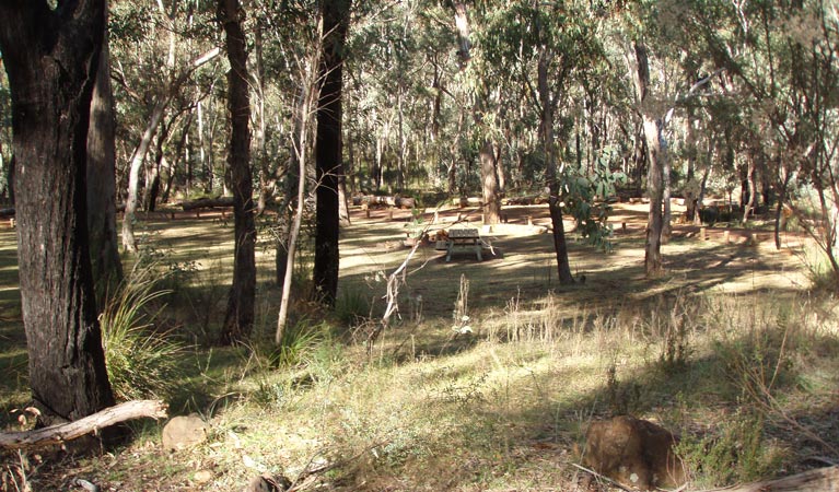 Greenbah Campground 2