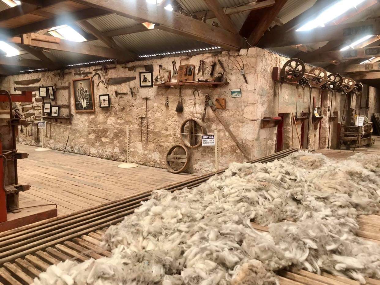 Mount Dutton Bay Woolshed 2