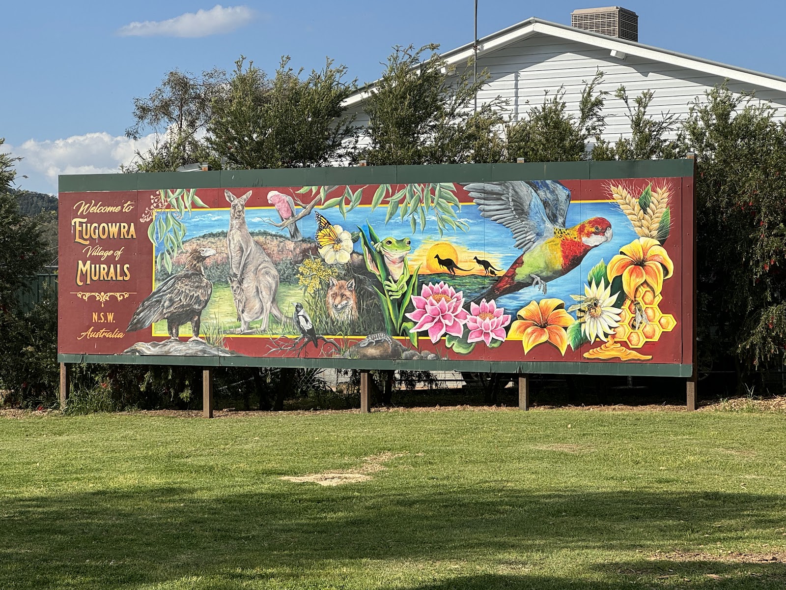 Eugowra Showground 5