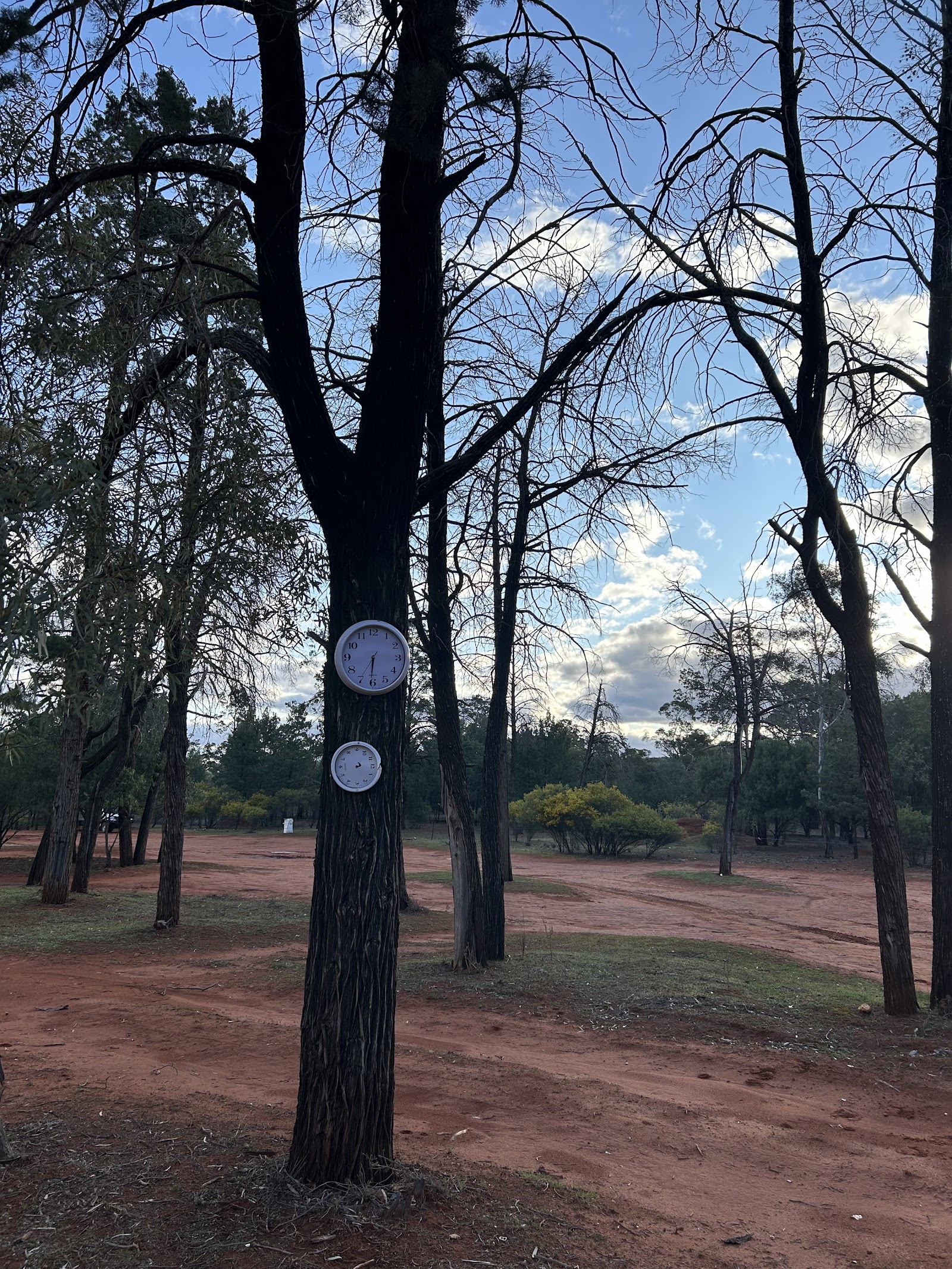 Meadow Glen Rest Area 2