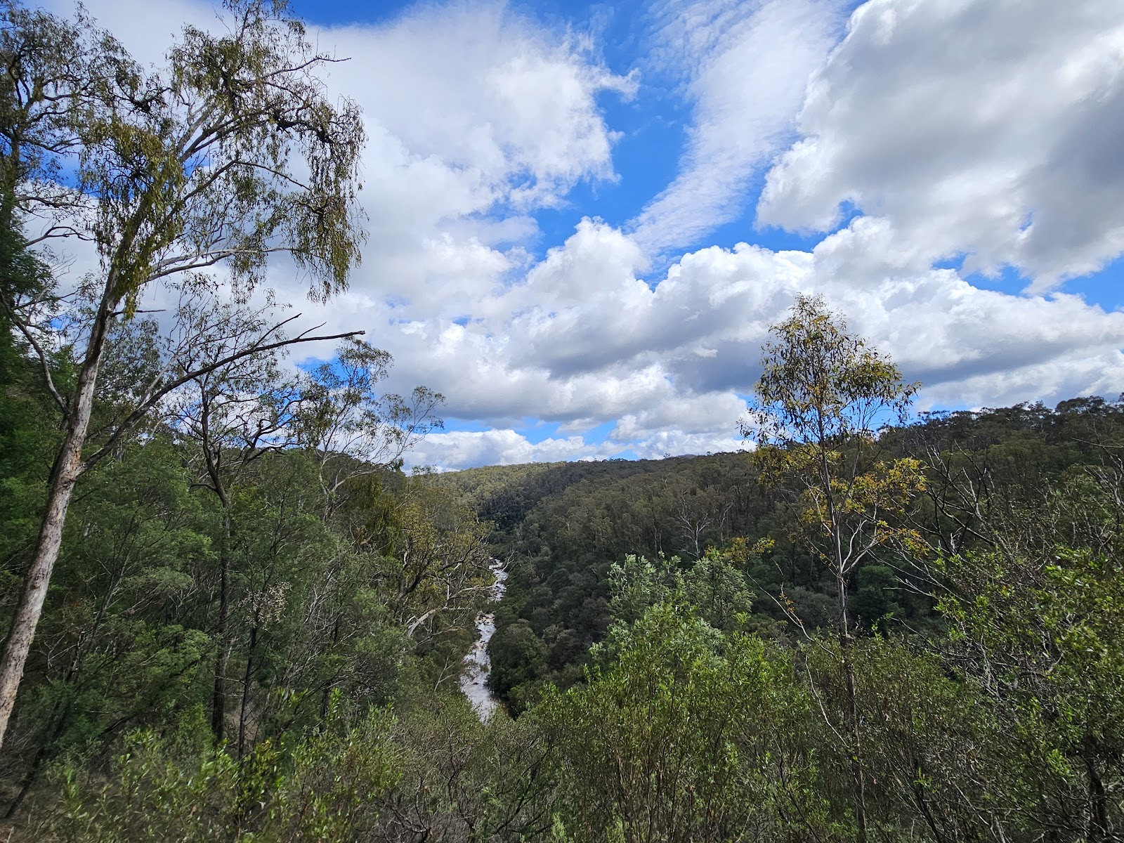 Nowa Nowa Gorge Lookout 2