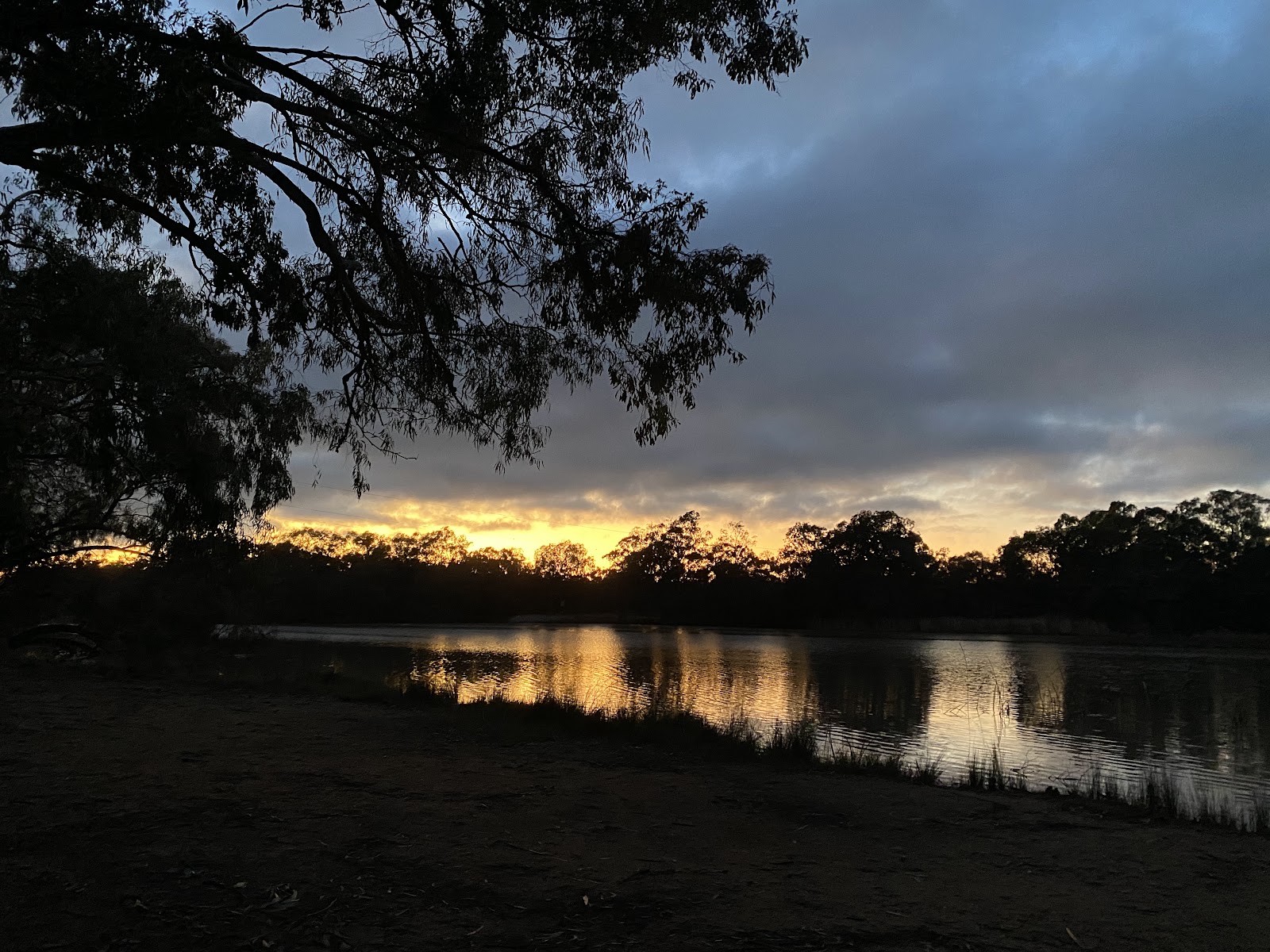 Nyngan Weir 3