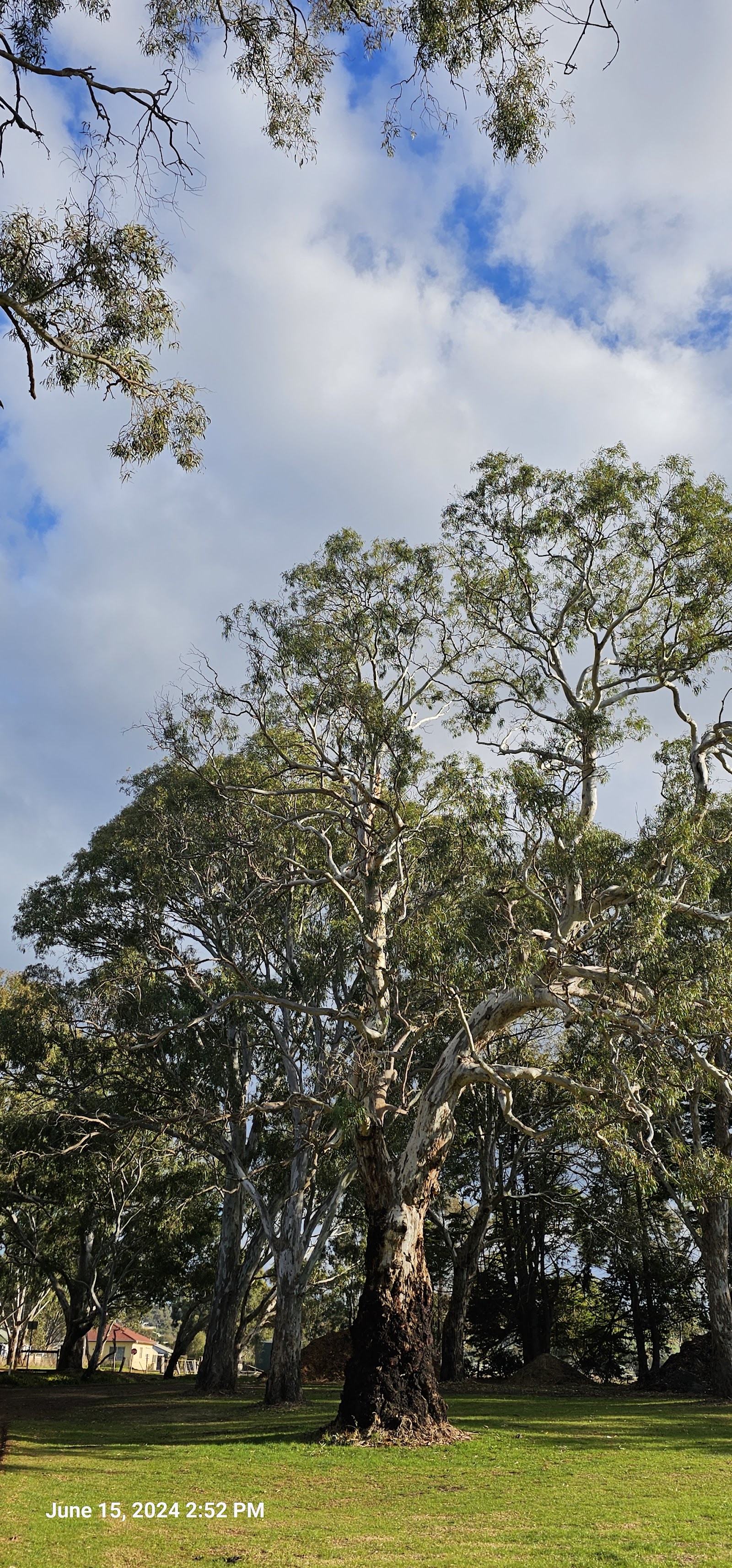 Island Park - Casterton 2