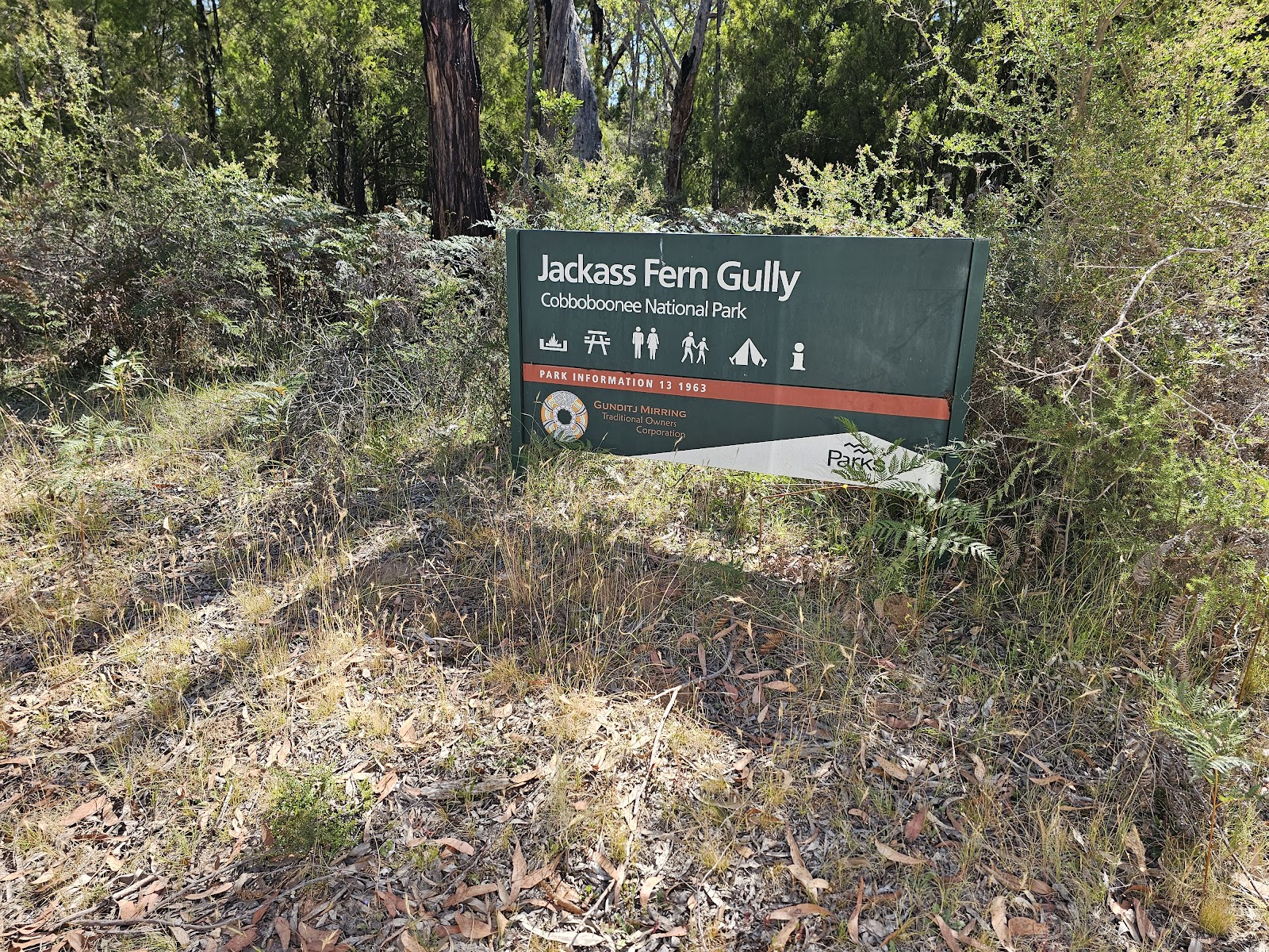 Jackass Fern Gully Picnic Area 6