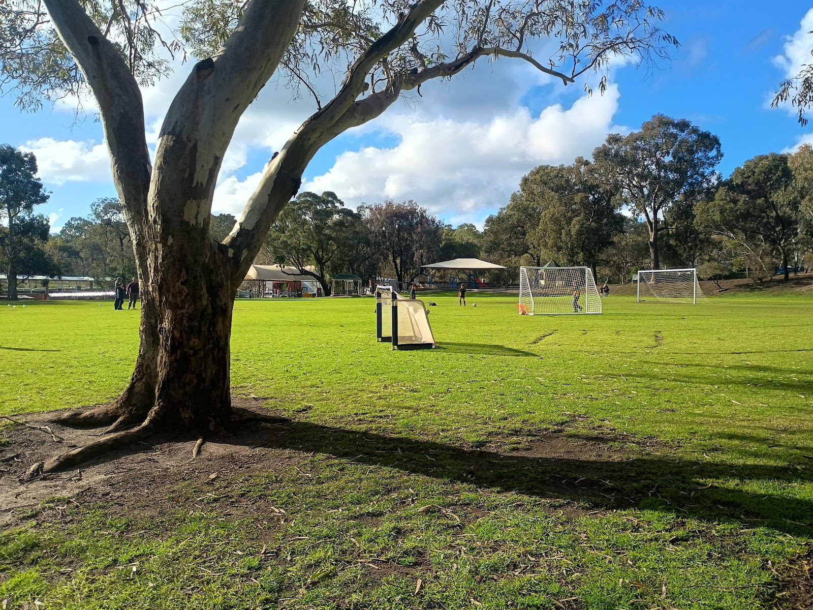 Sports Oval 2