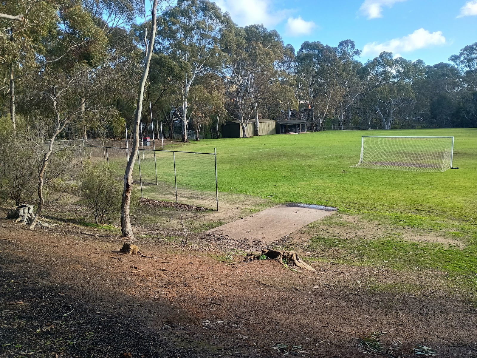 Sports Oval 3