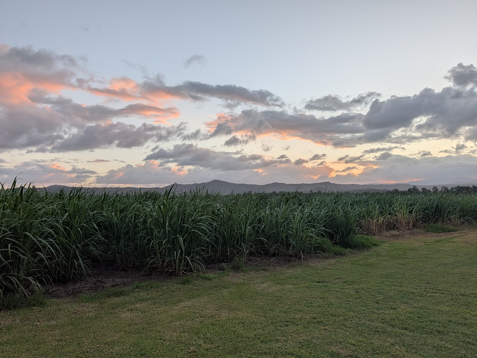 Gargett rodeo grounds campsite 2
