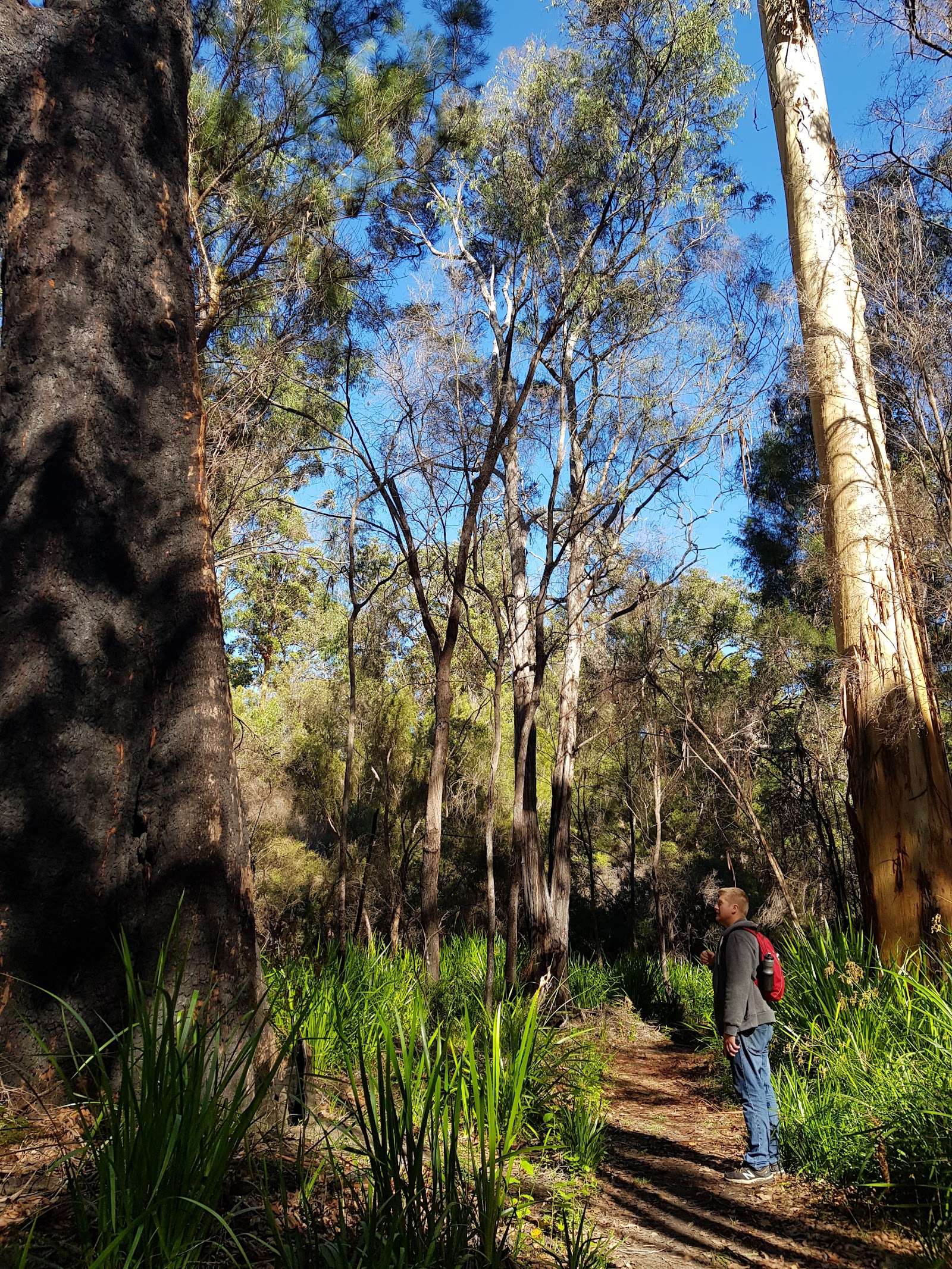 Shannon National Park Campground 2