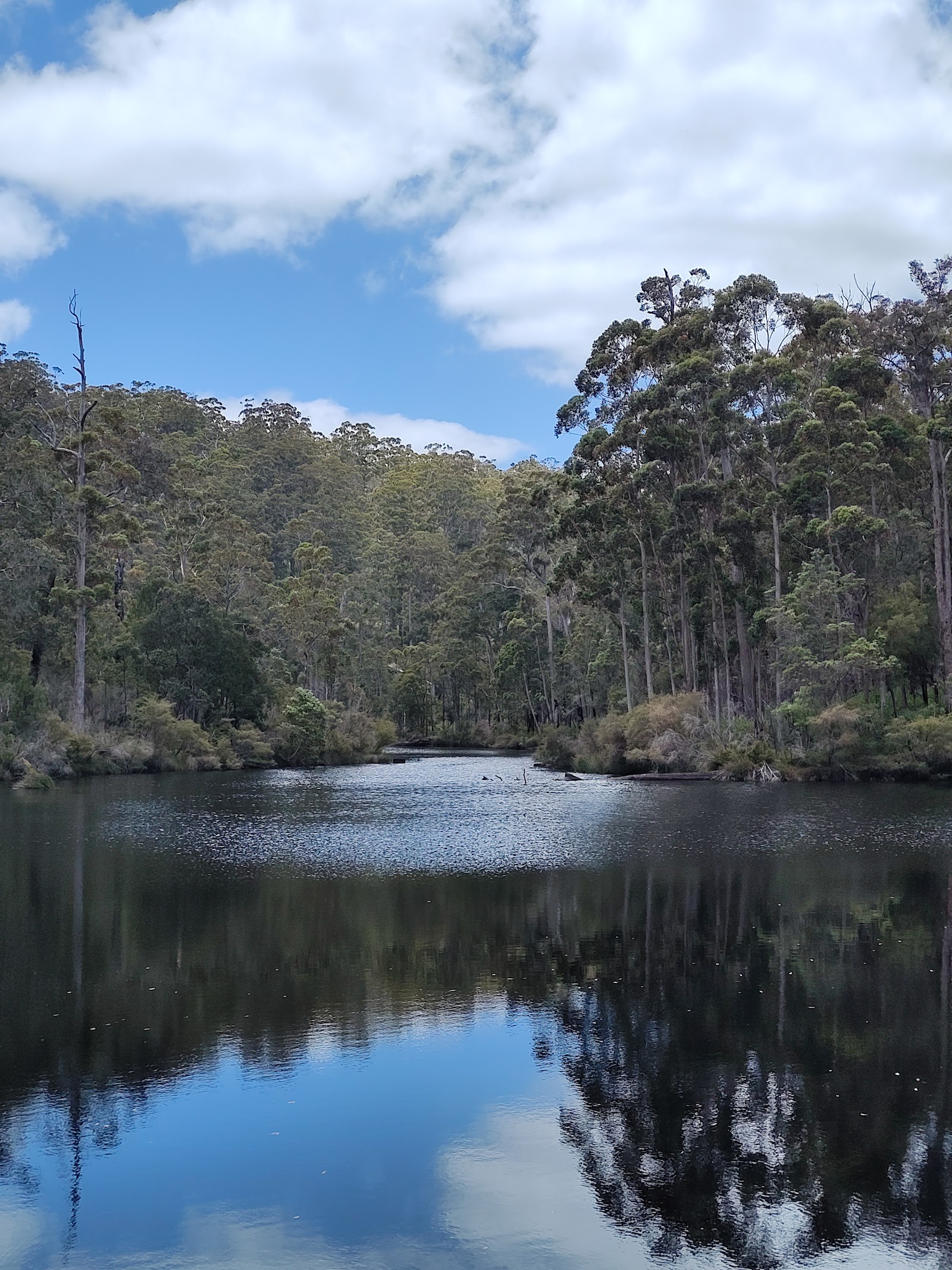 Shannon National Park Campground 3