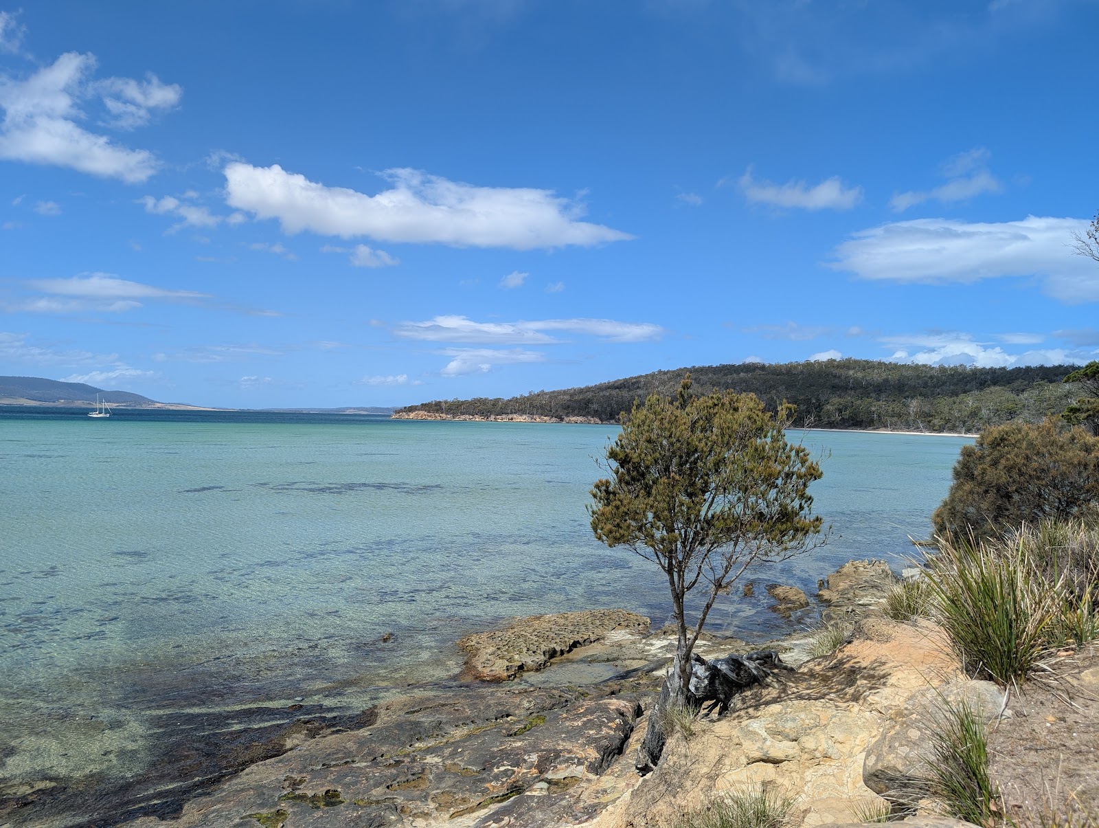Lime Bay Camping 6