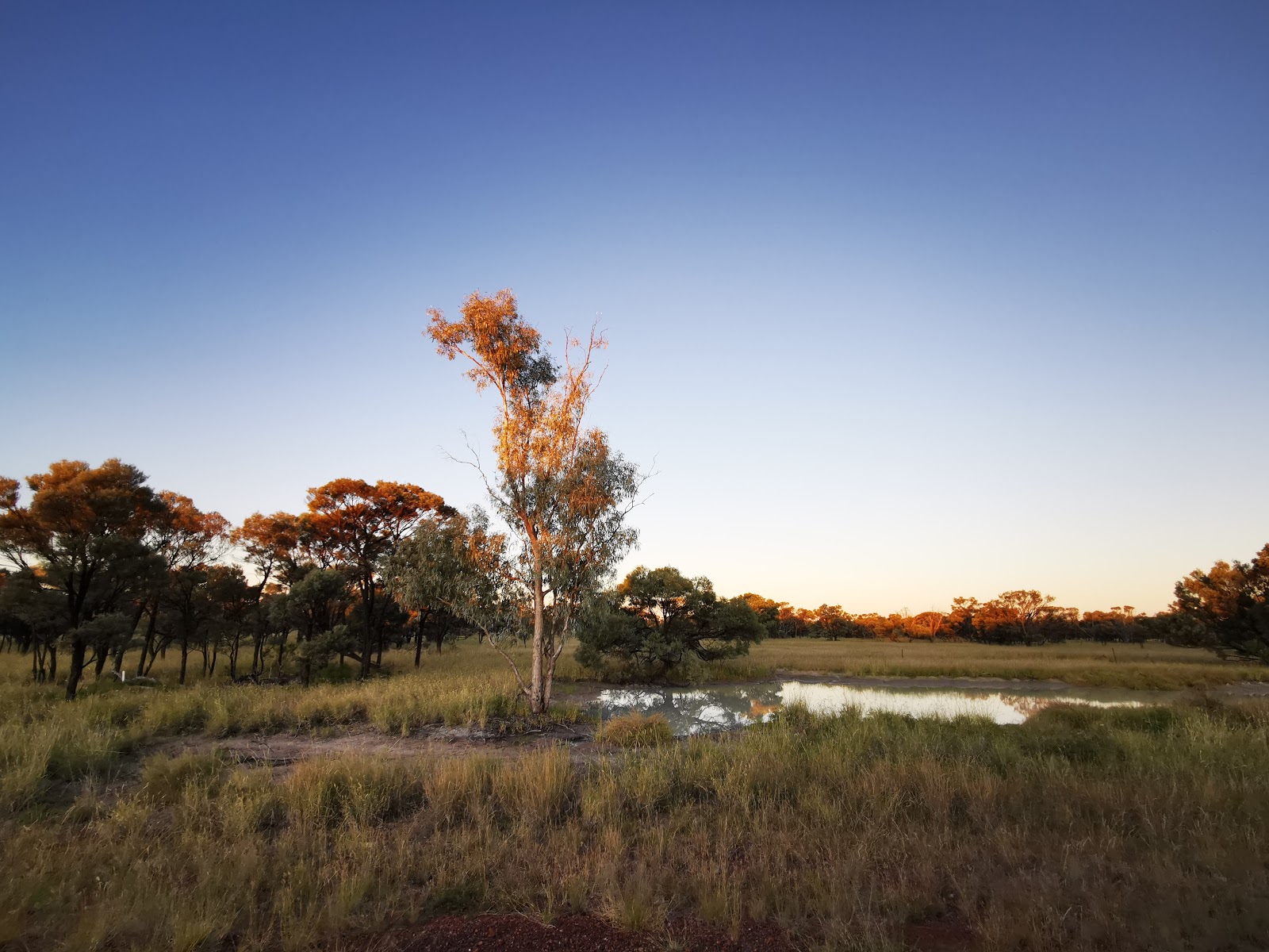 Moorrinya National Park 2