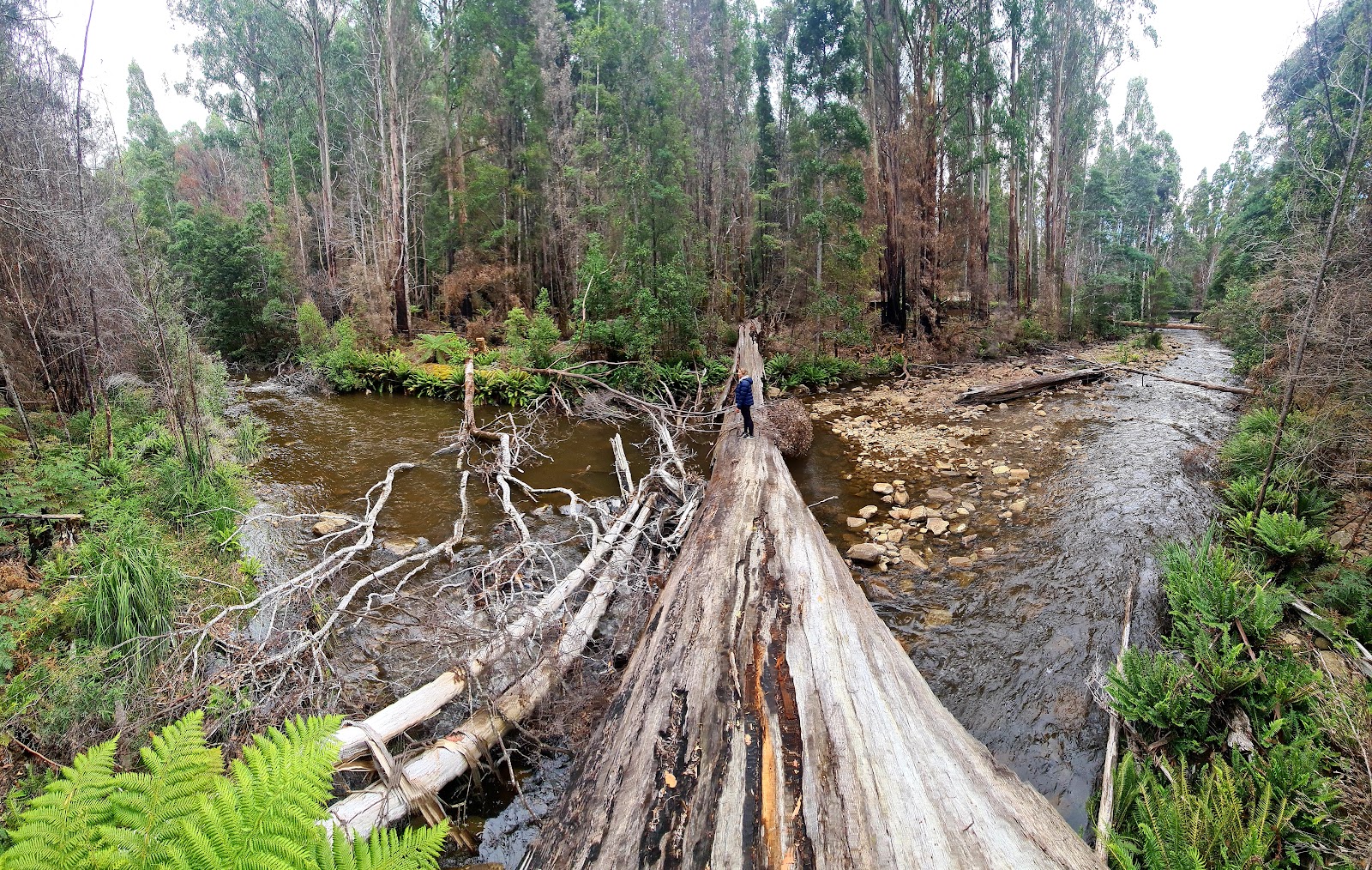 Arve River Camping and Picnic Area 2