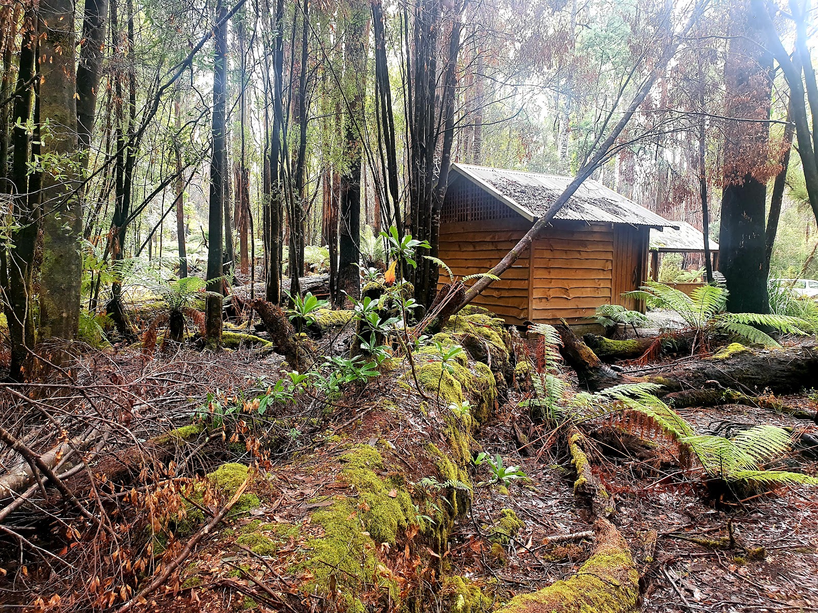 Arve River Camping and Picnic Area 3