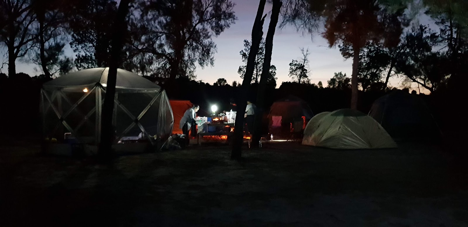 Casuarina Campground 3