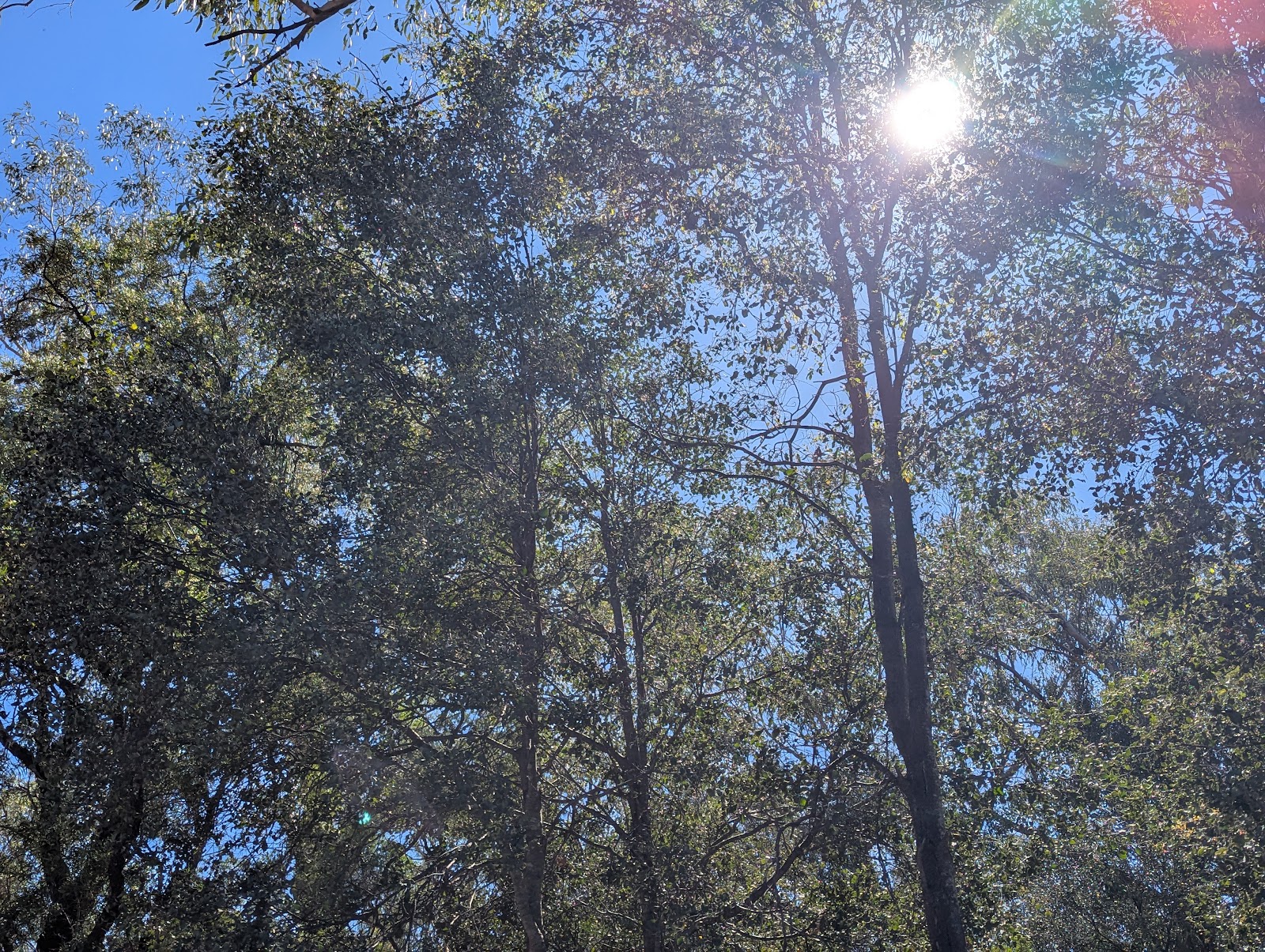 Ooline Park 2