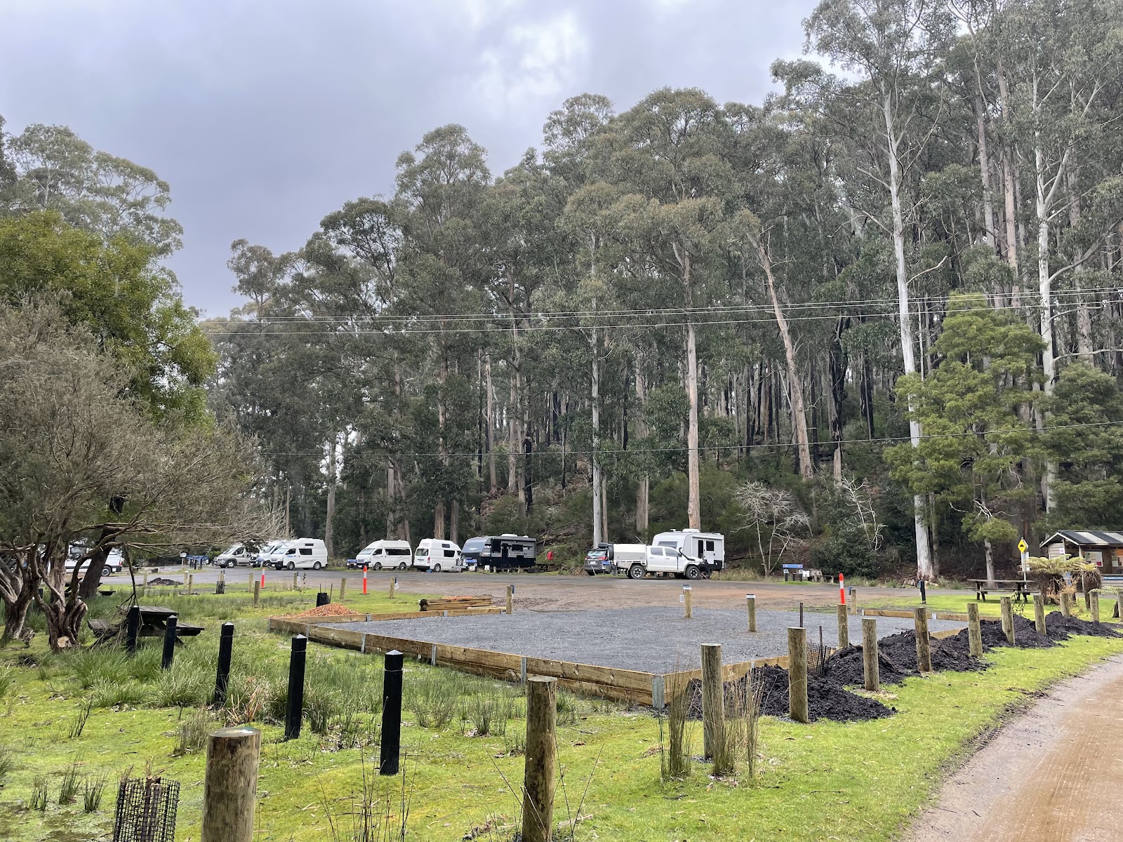 Mount Field Campground 3