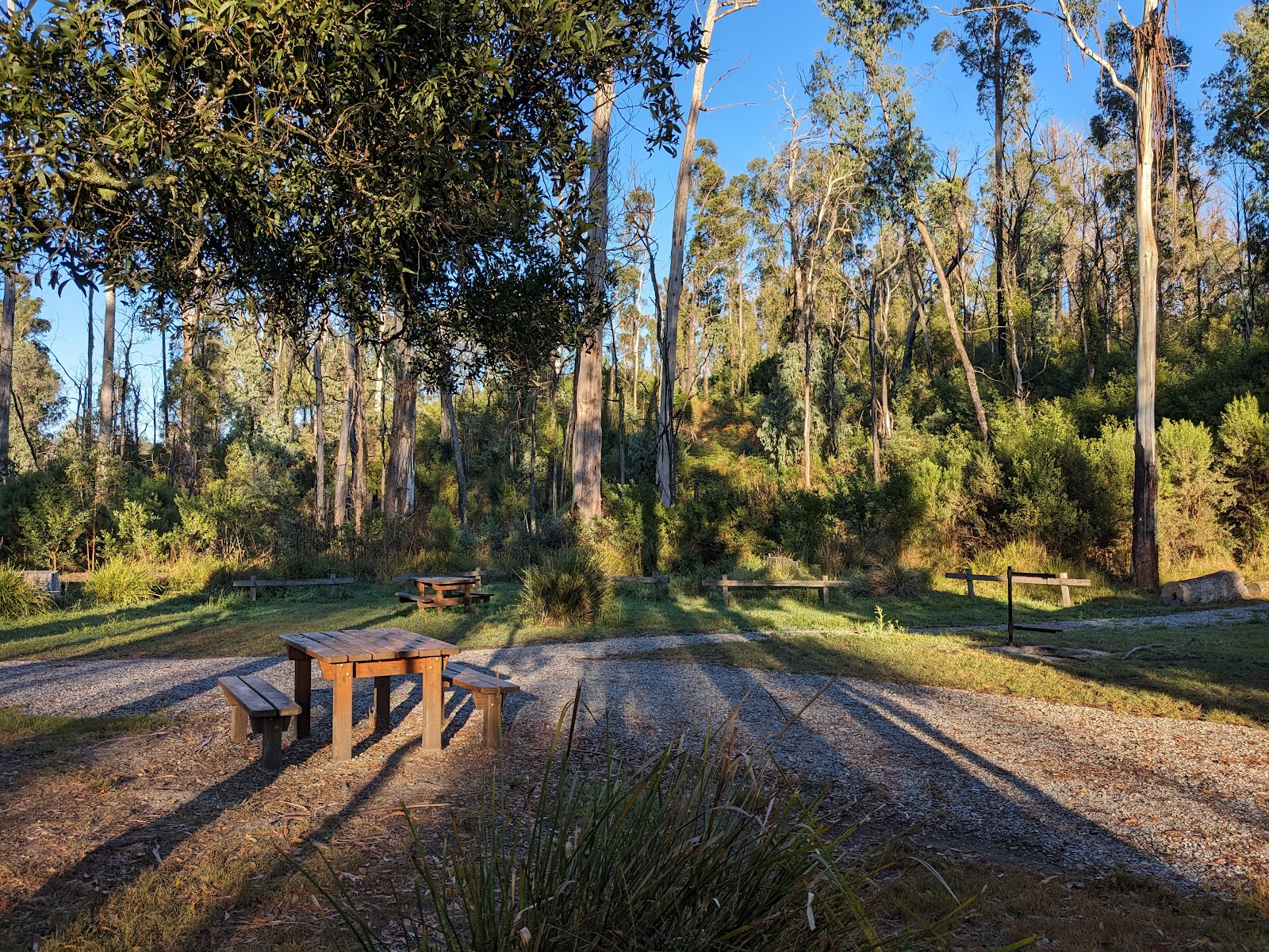 Goongerah Campground 3