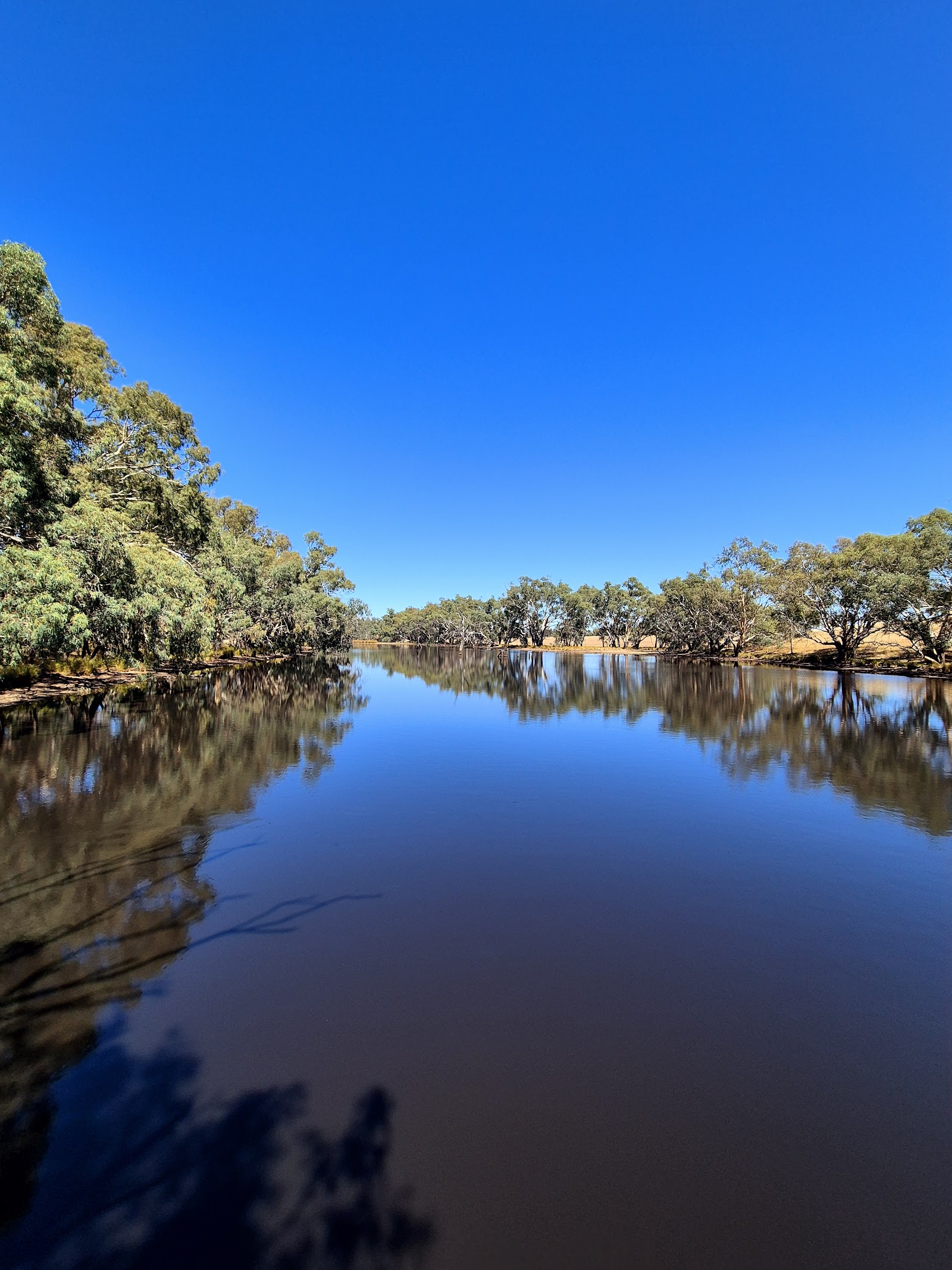Bogan Weir 2