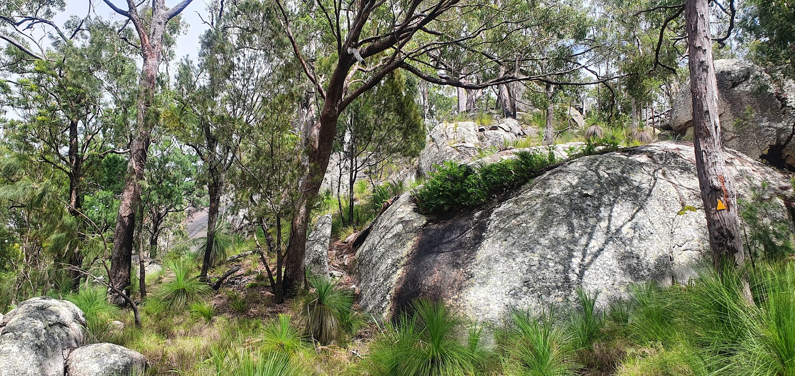Upper Davies Creek Camping Area 3