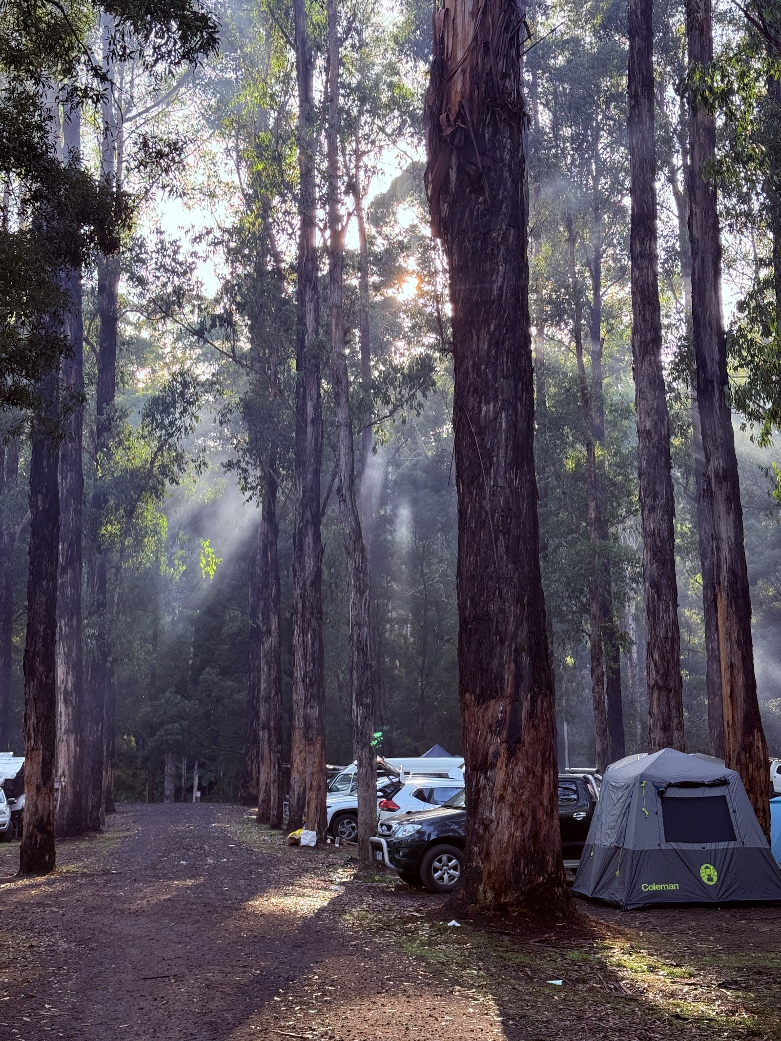 Dandos Campground 2
