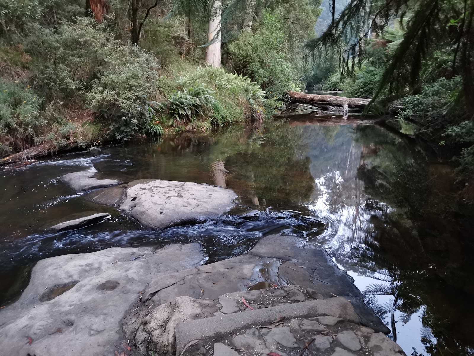 Dandos Campground 3