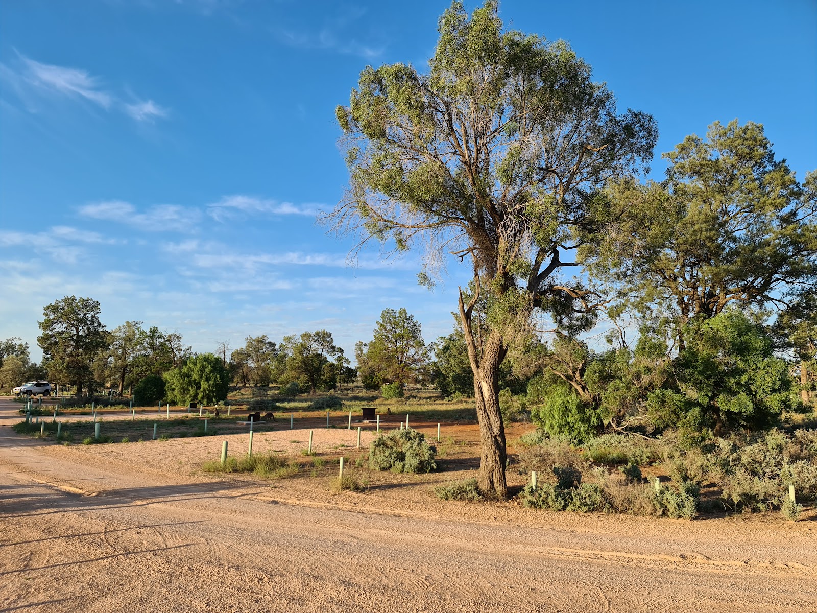 Main Campground 3
