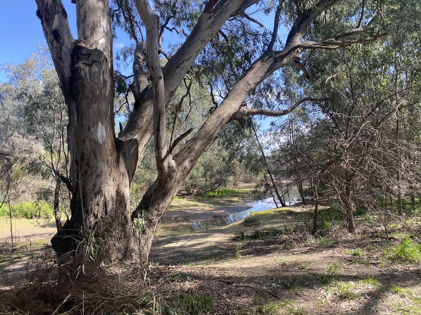 Wilks Park 3